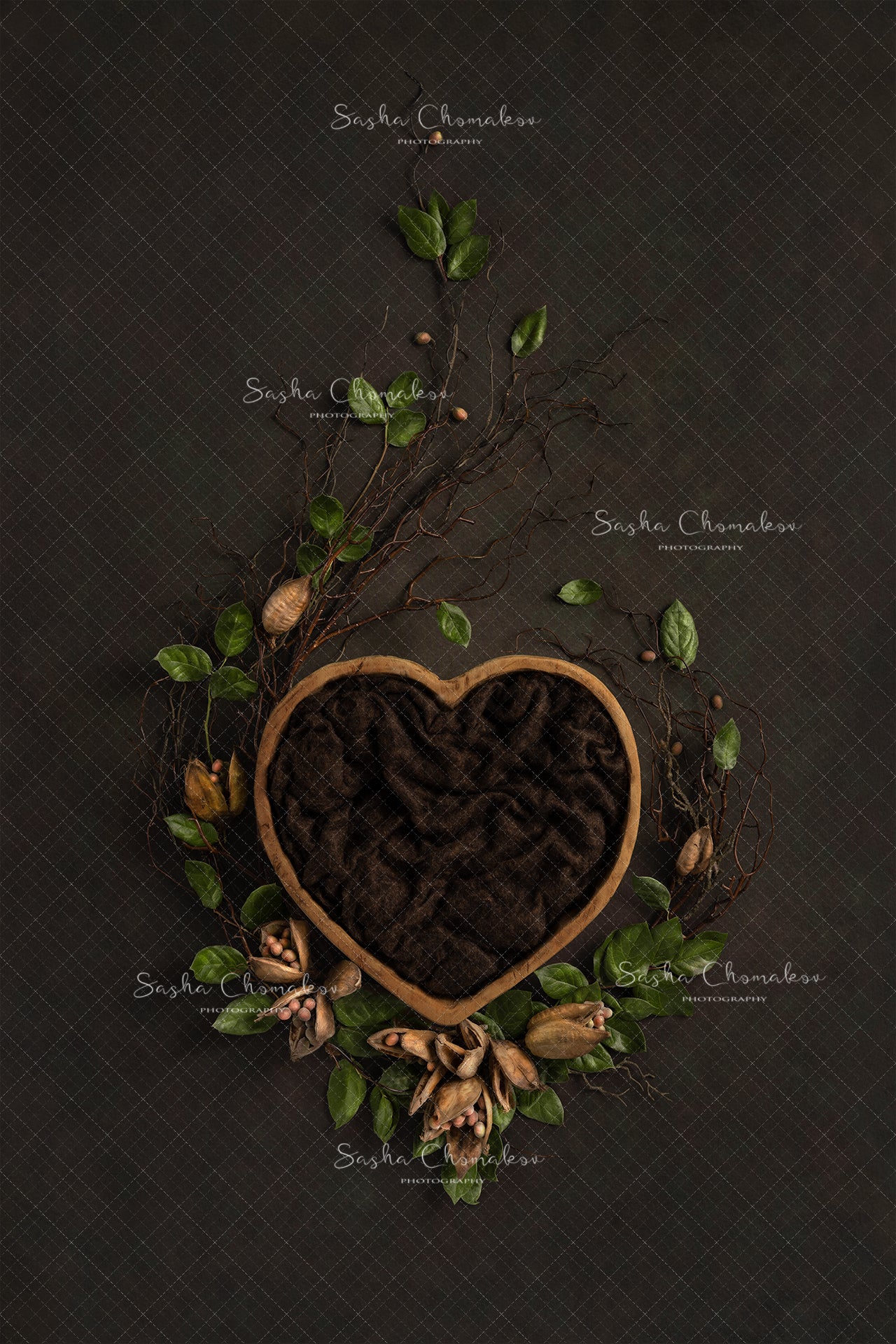 Digital Backdrop