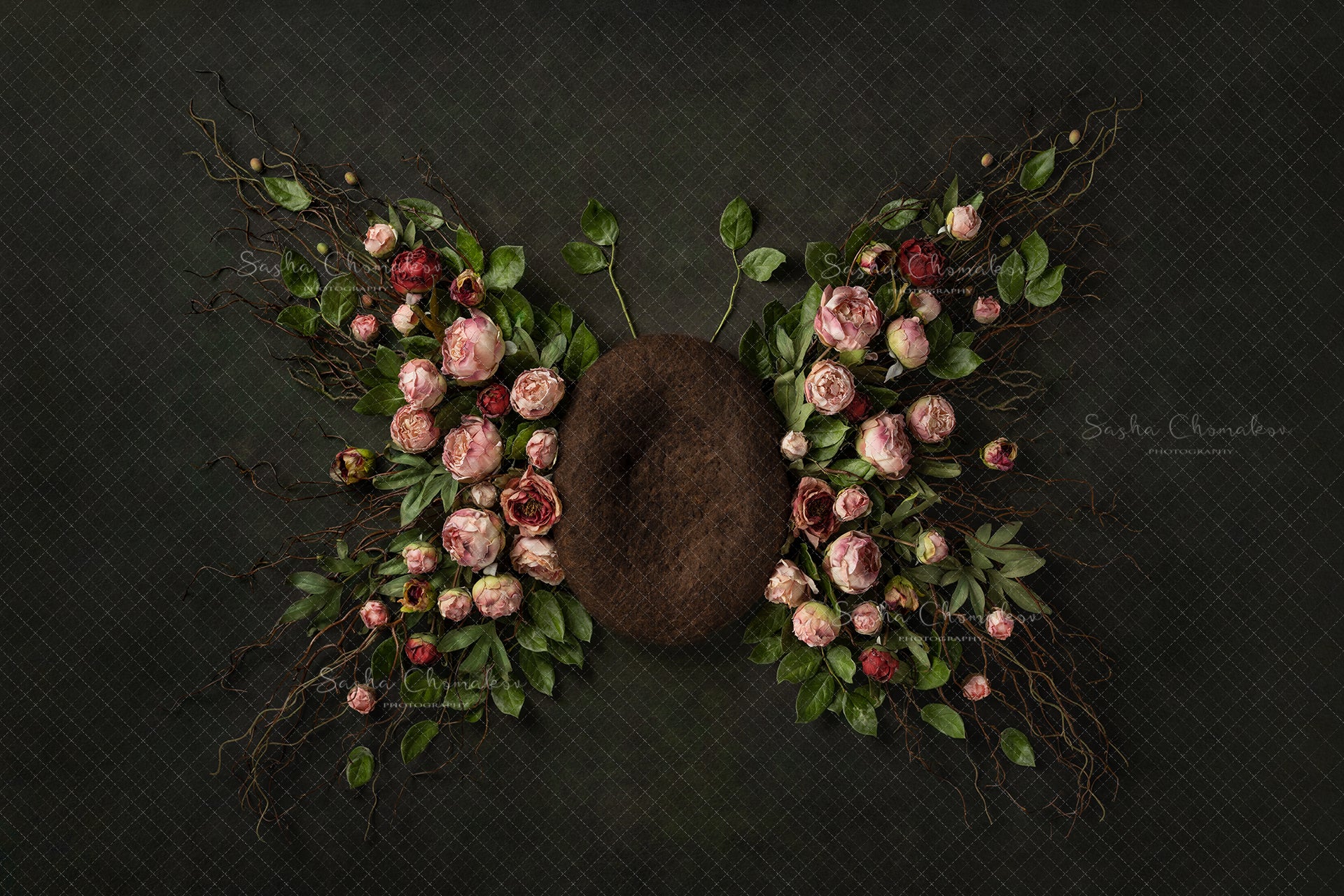 Digital Backdrop