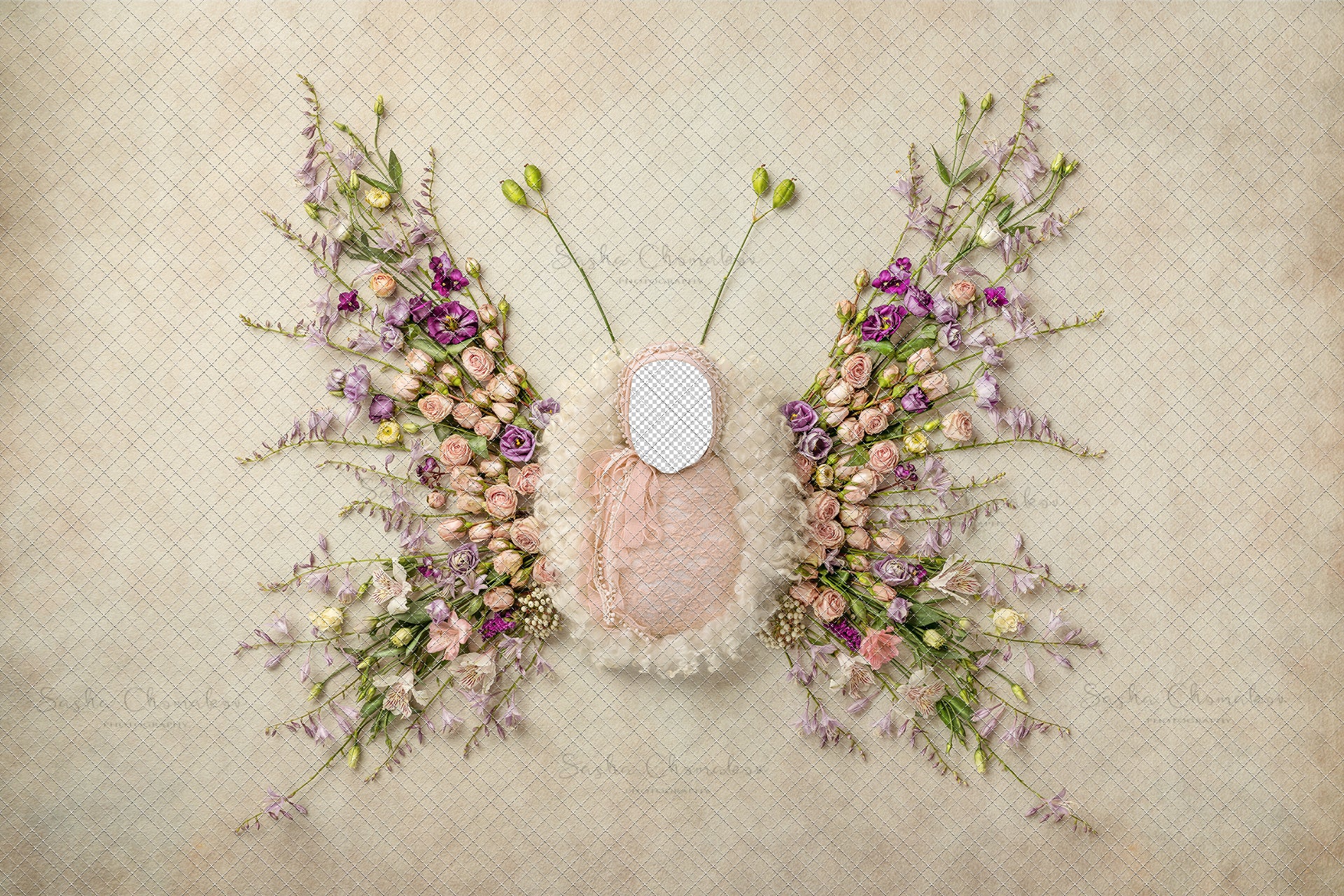 Digital Backdrop