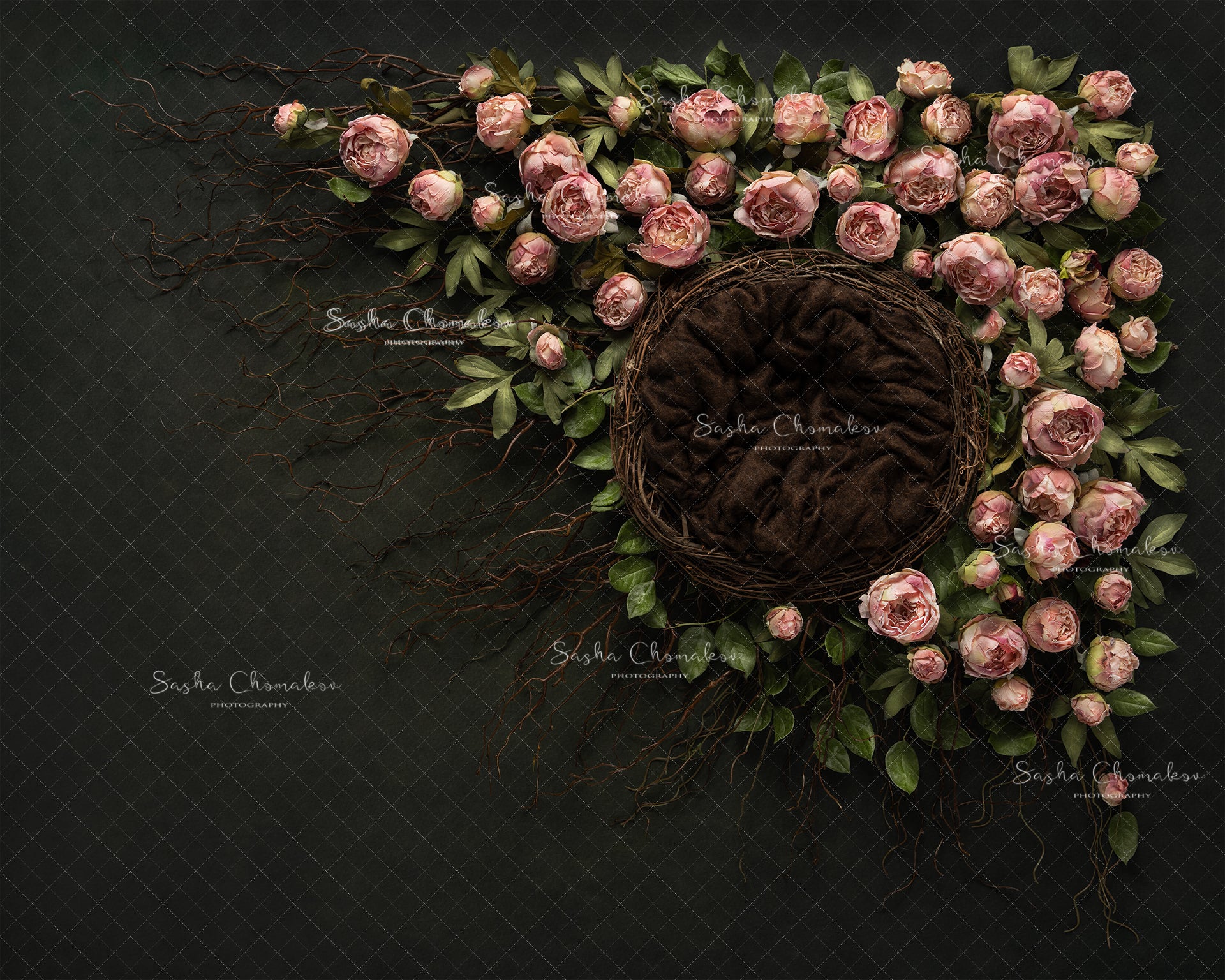 Digital Backdrop