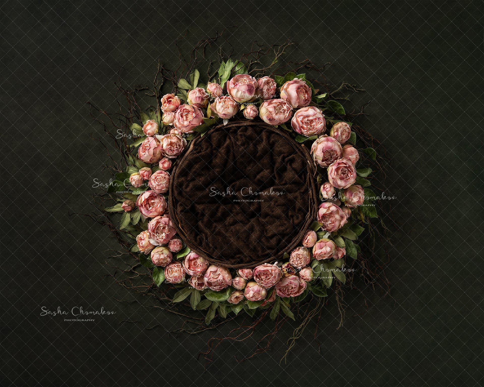 Digital Backdrop