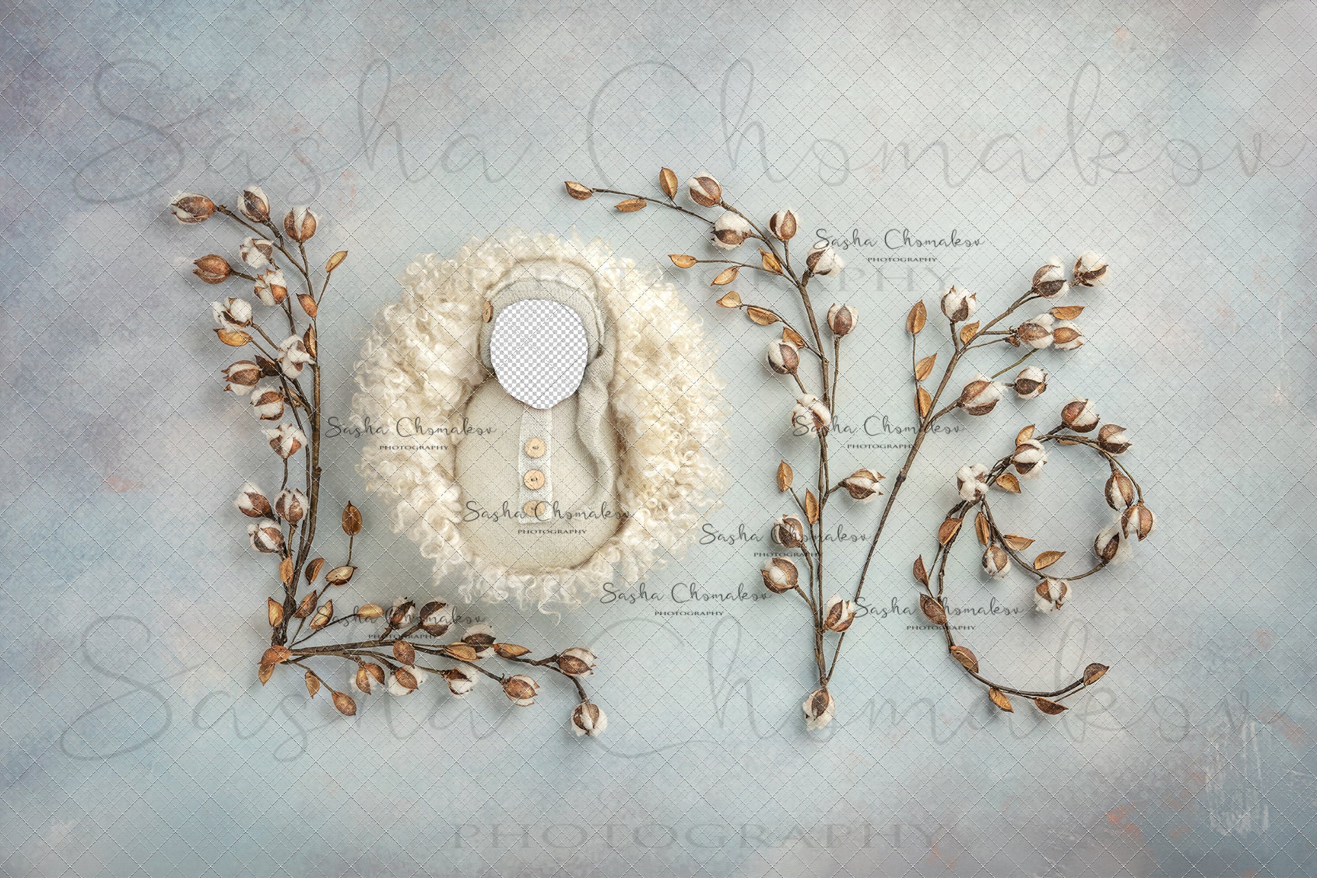 Digital Backdrop
