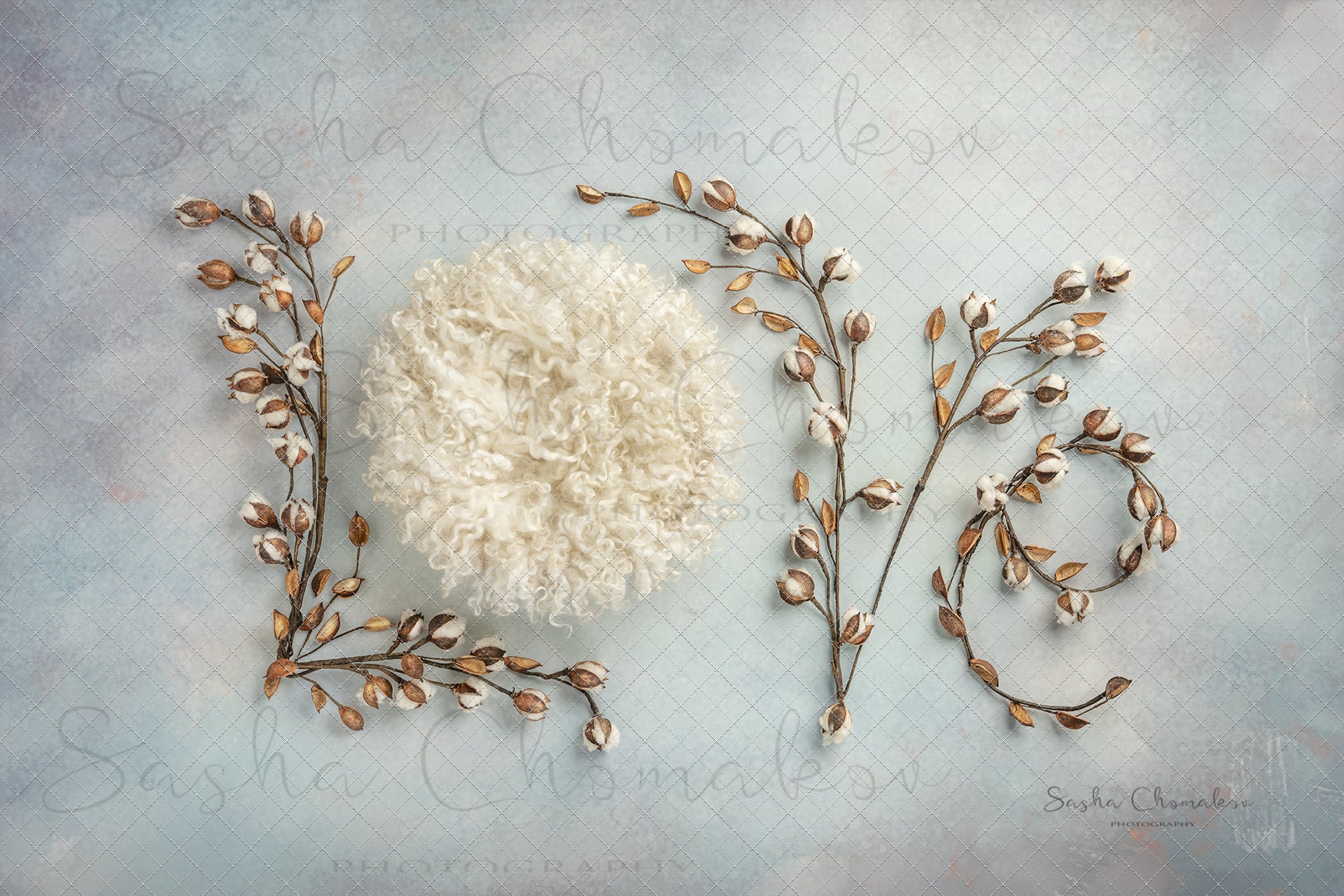 Digital Backdrop