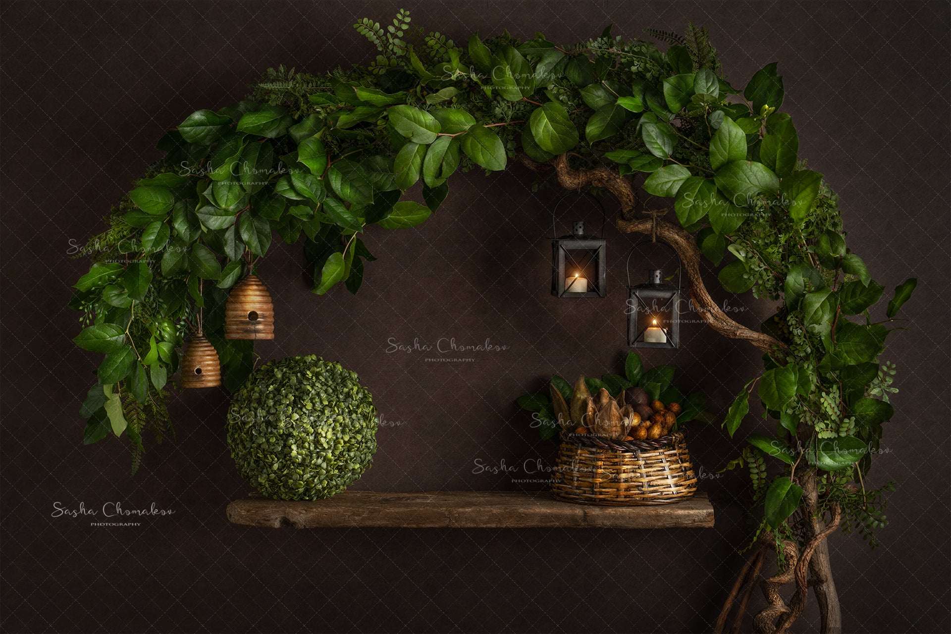 Digital Backdrop