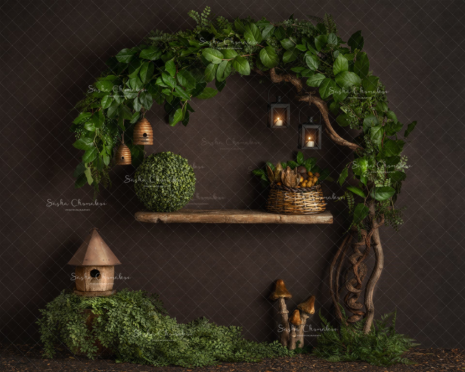 Digital Backdrop