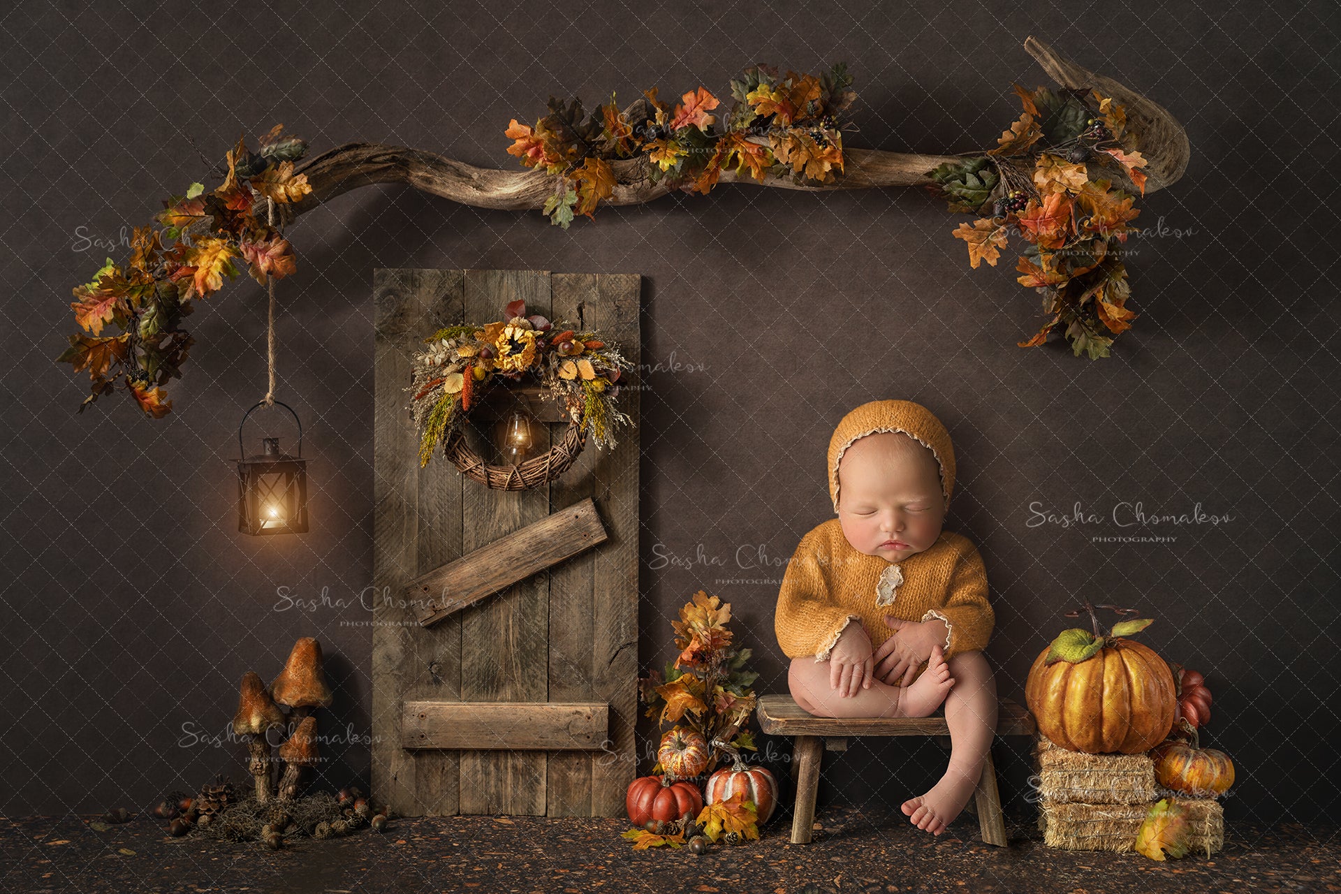 Digital Backdrop