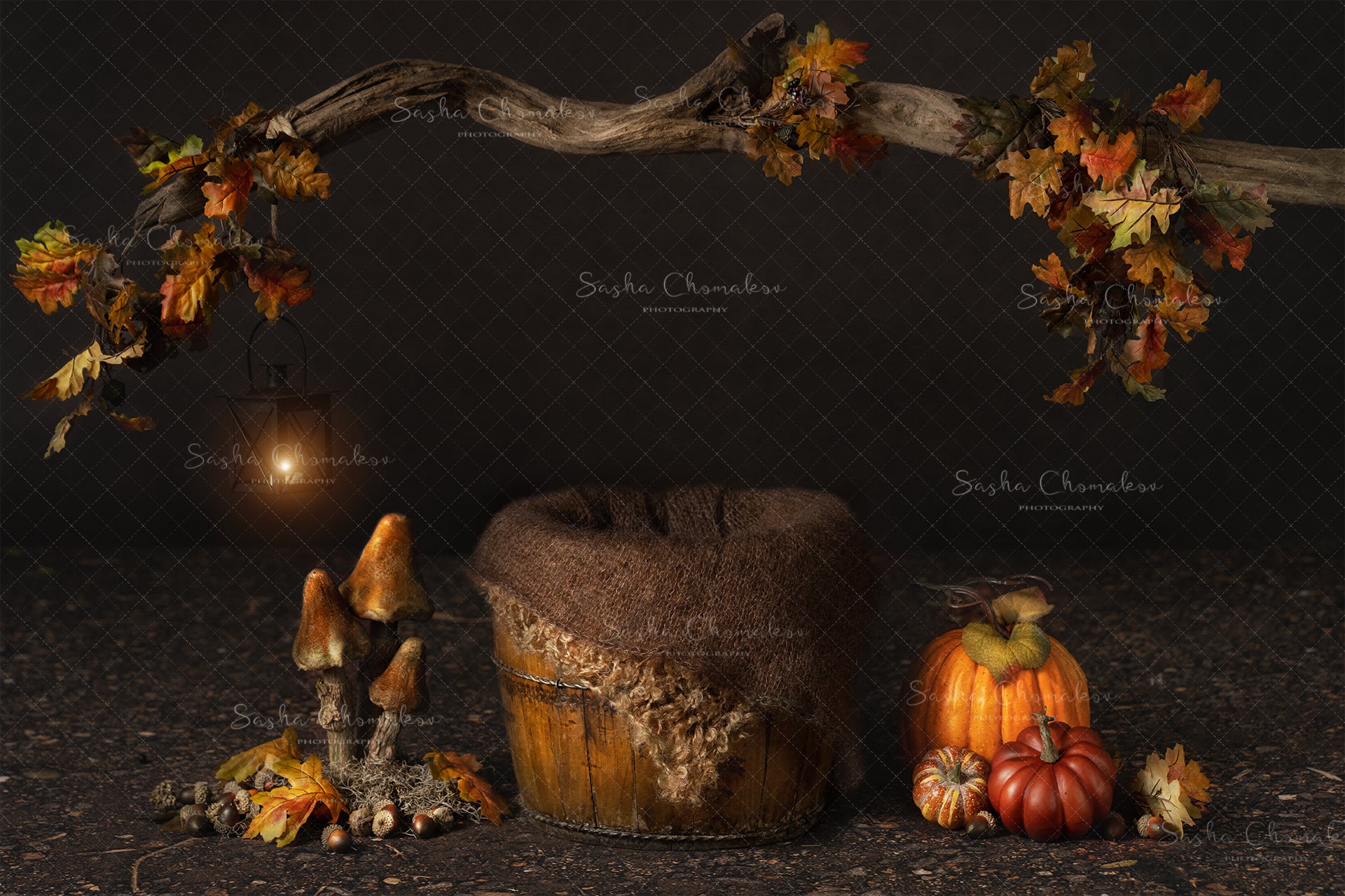 Digital Backdrop