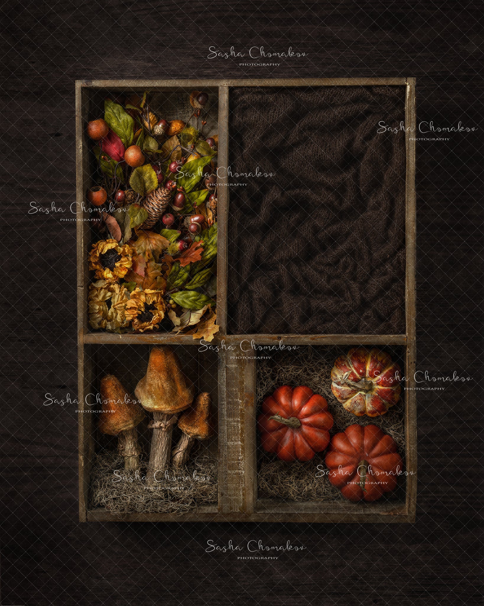 Digital Backdrop