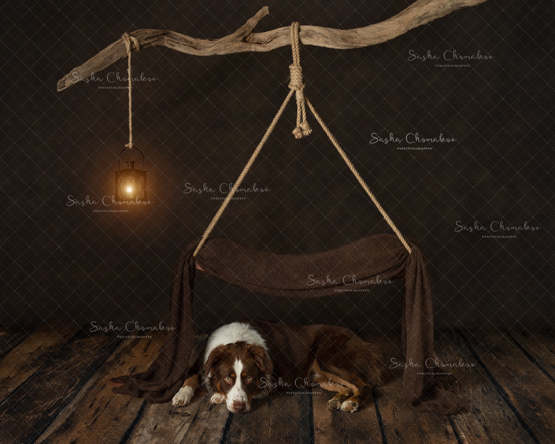 Digital Backdrop