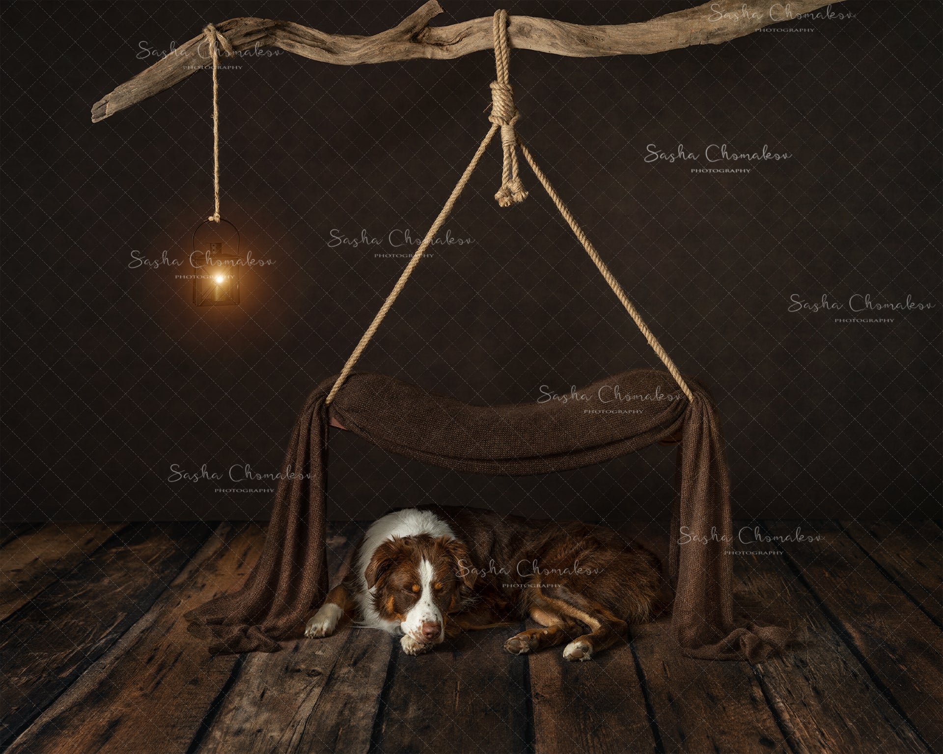 Digital Backdrop