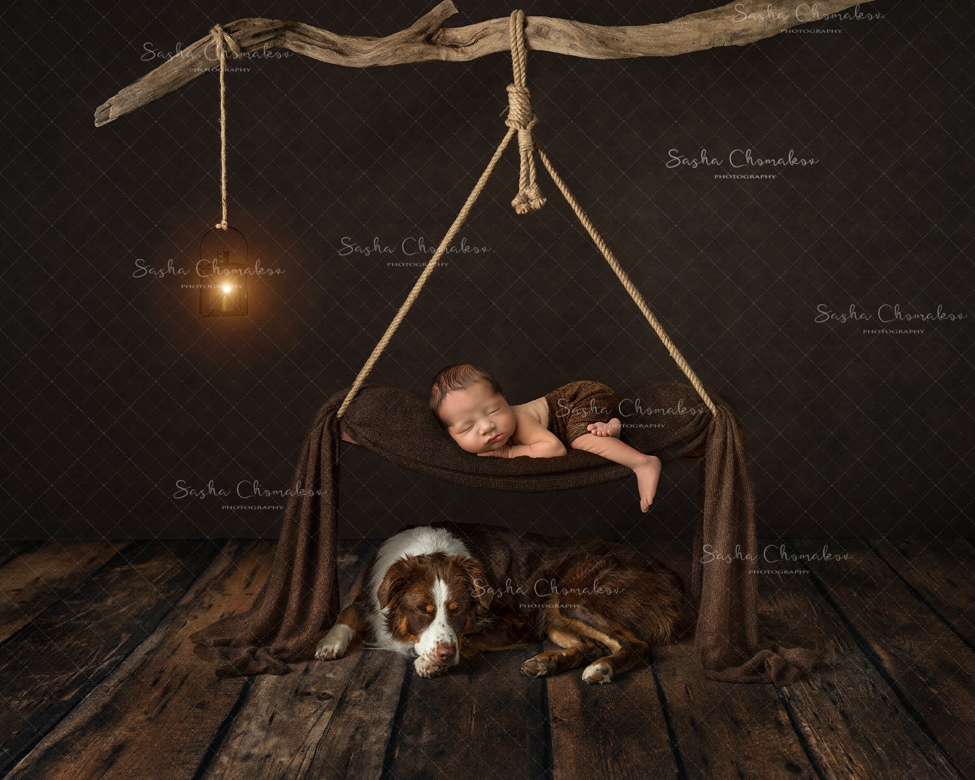 Digital Backdrop