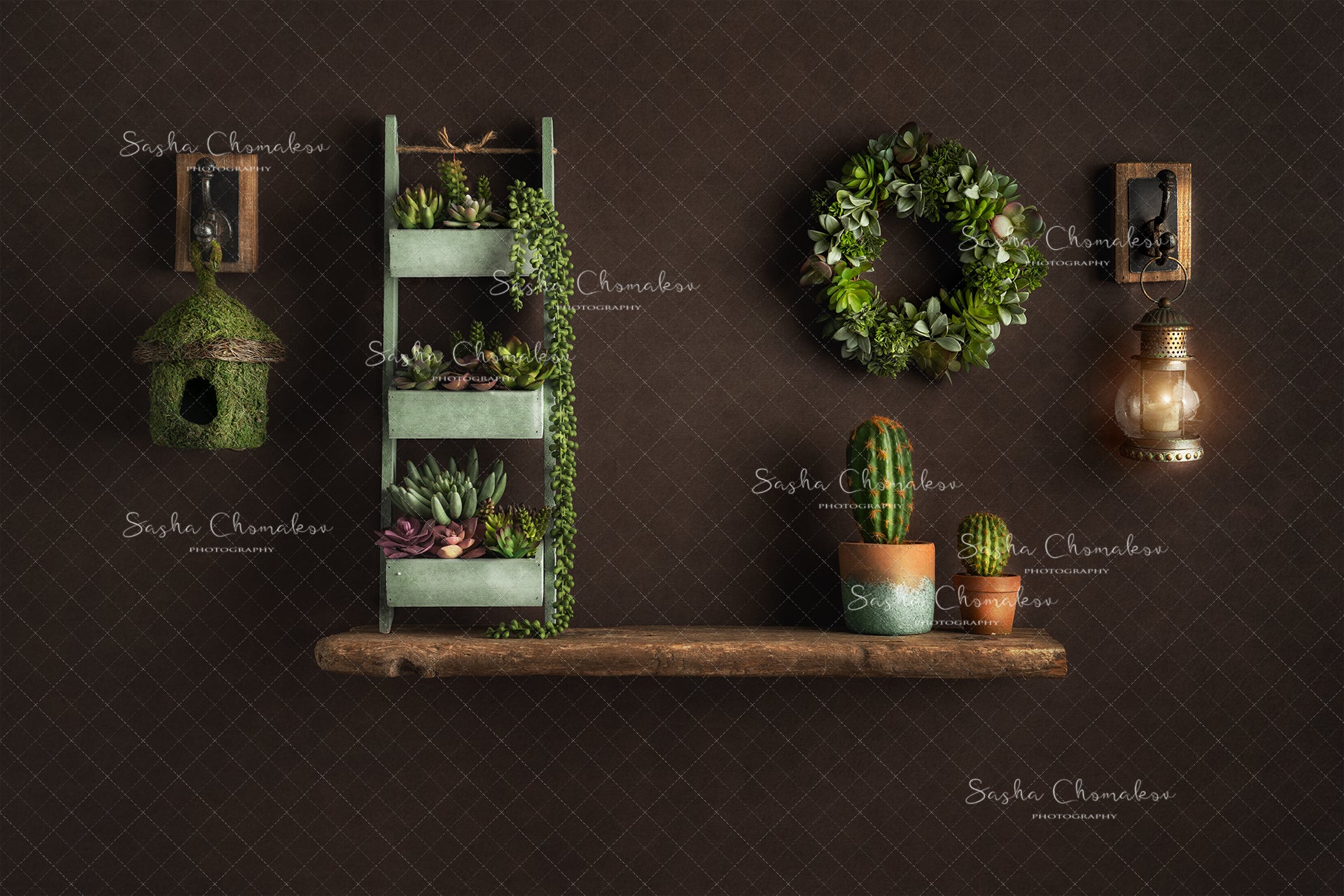 Digital Backdrop