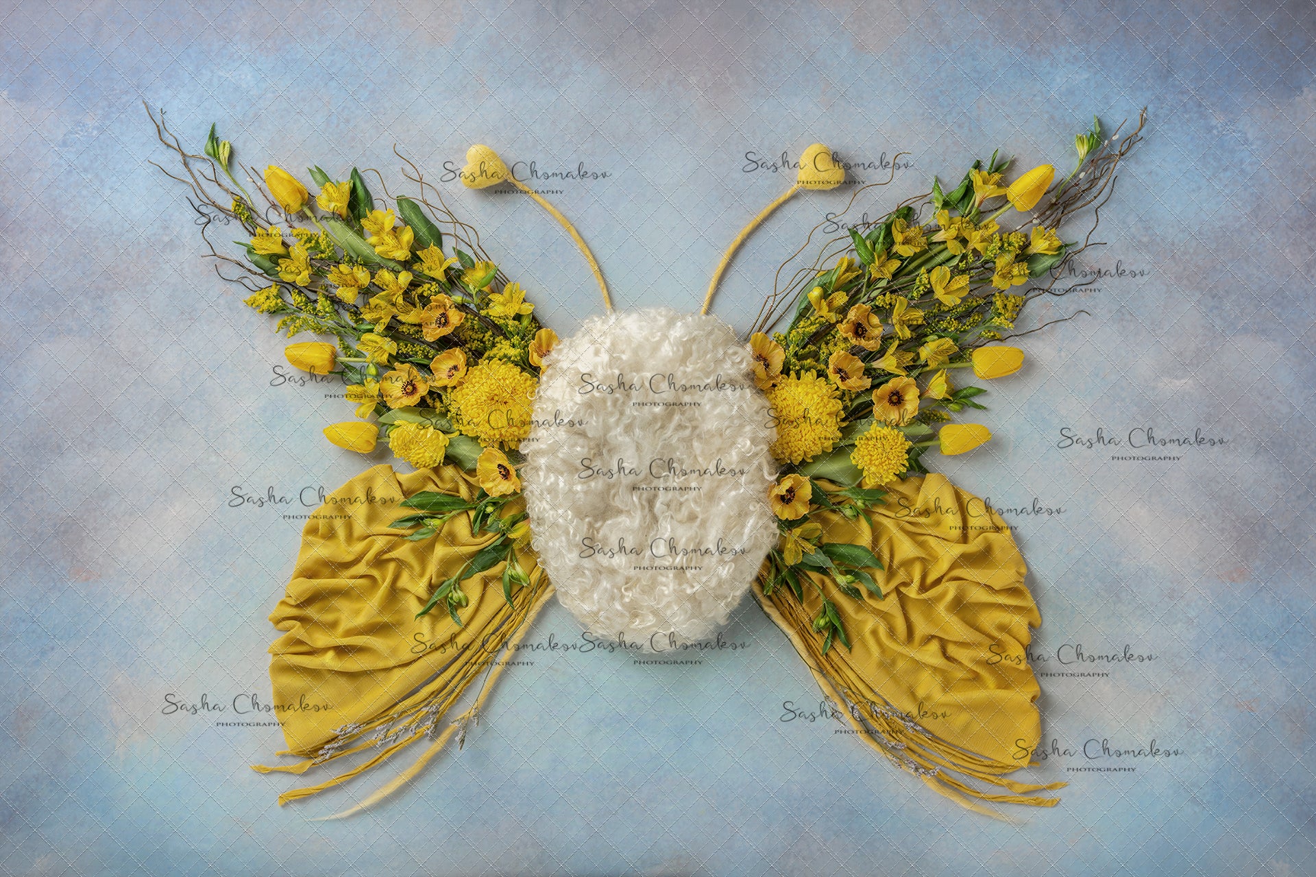 Digital Backdrop