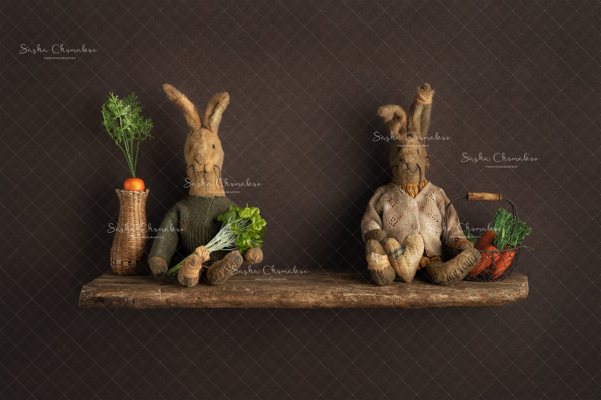 Digital Backdrop