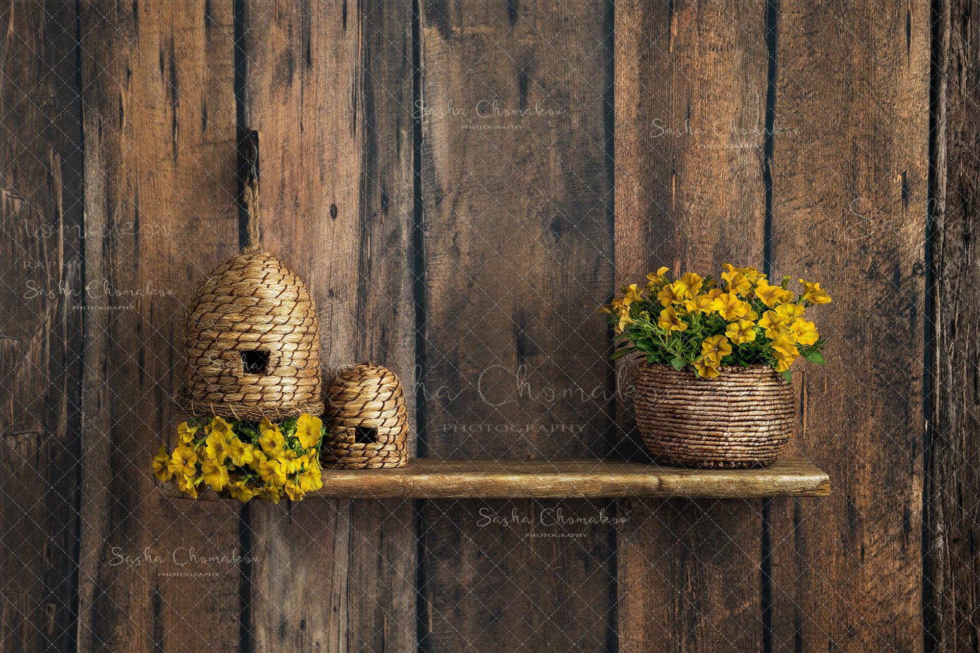 Digital Backdrop