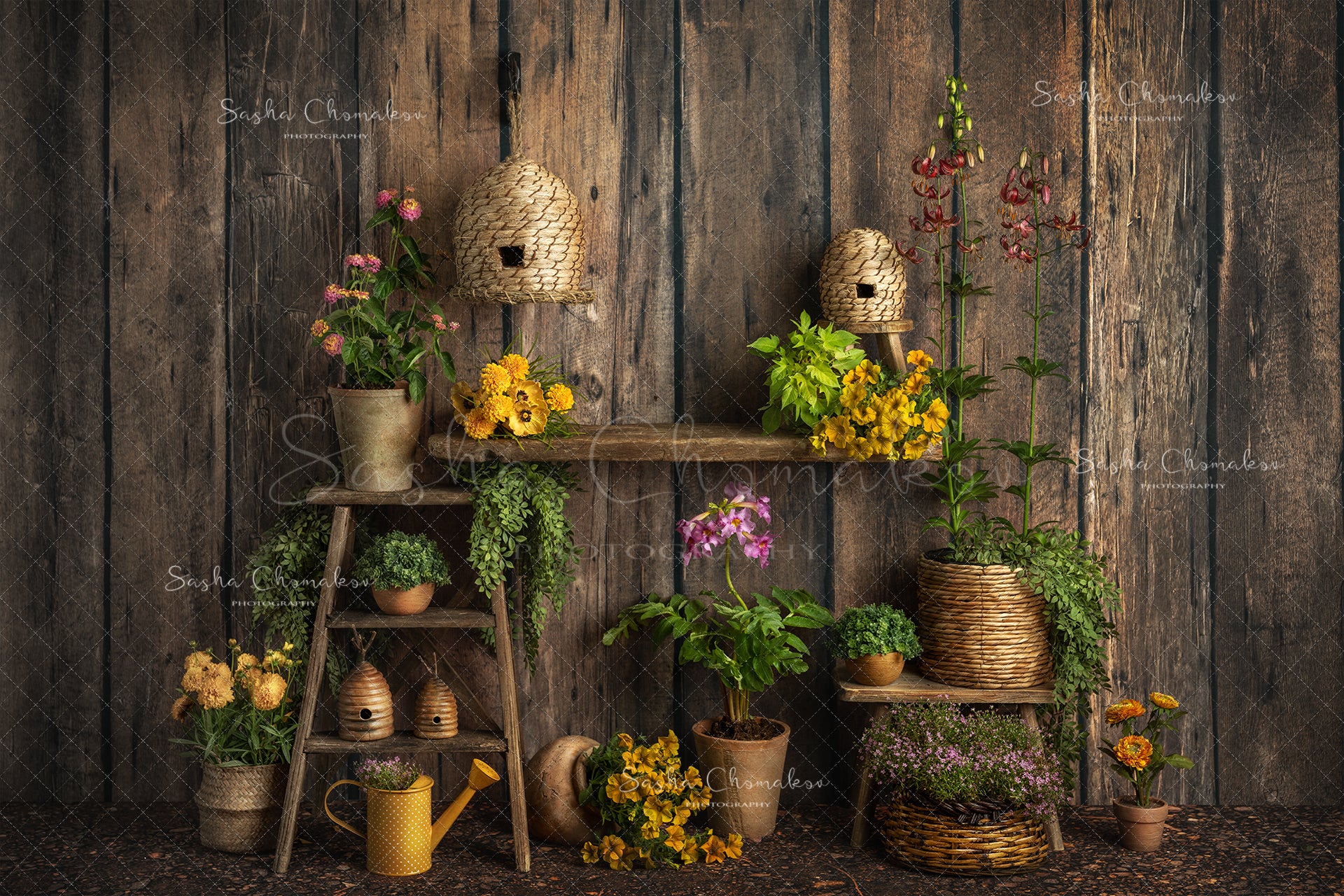 Digital Backdrop