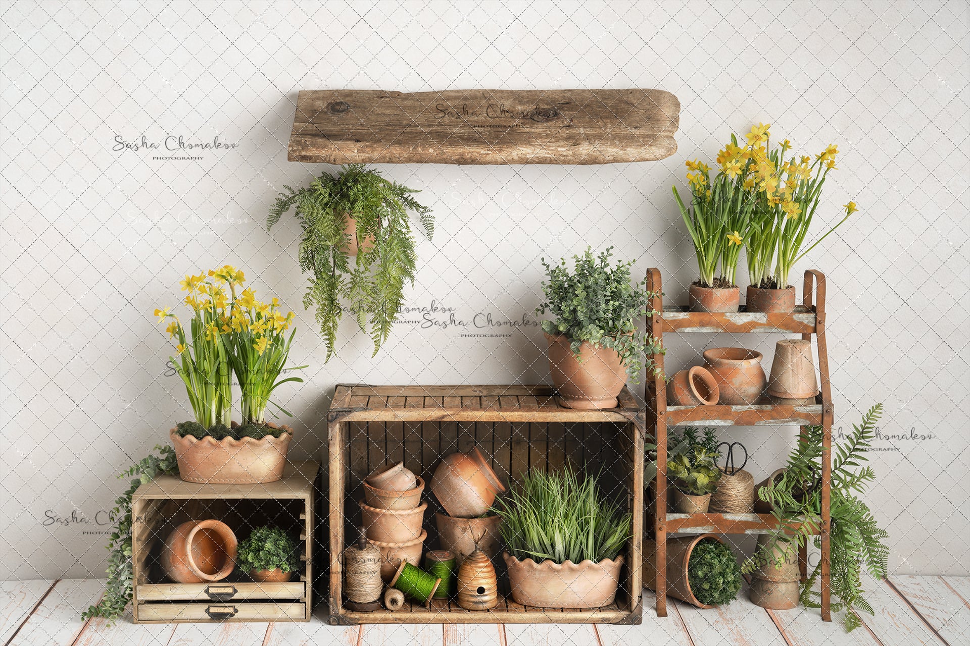 Digital Backdrop