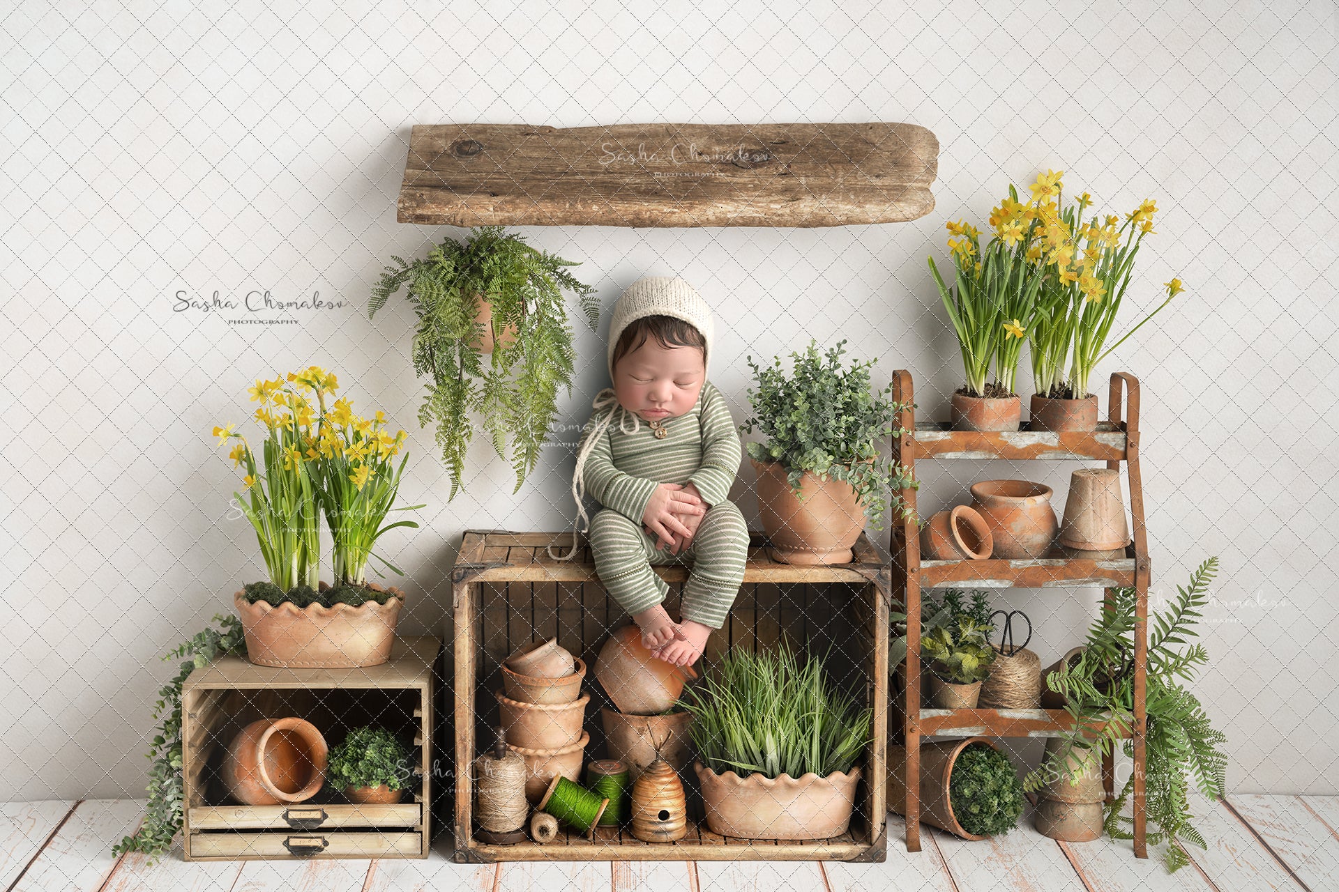 Digital Backdrop