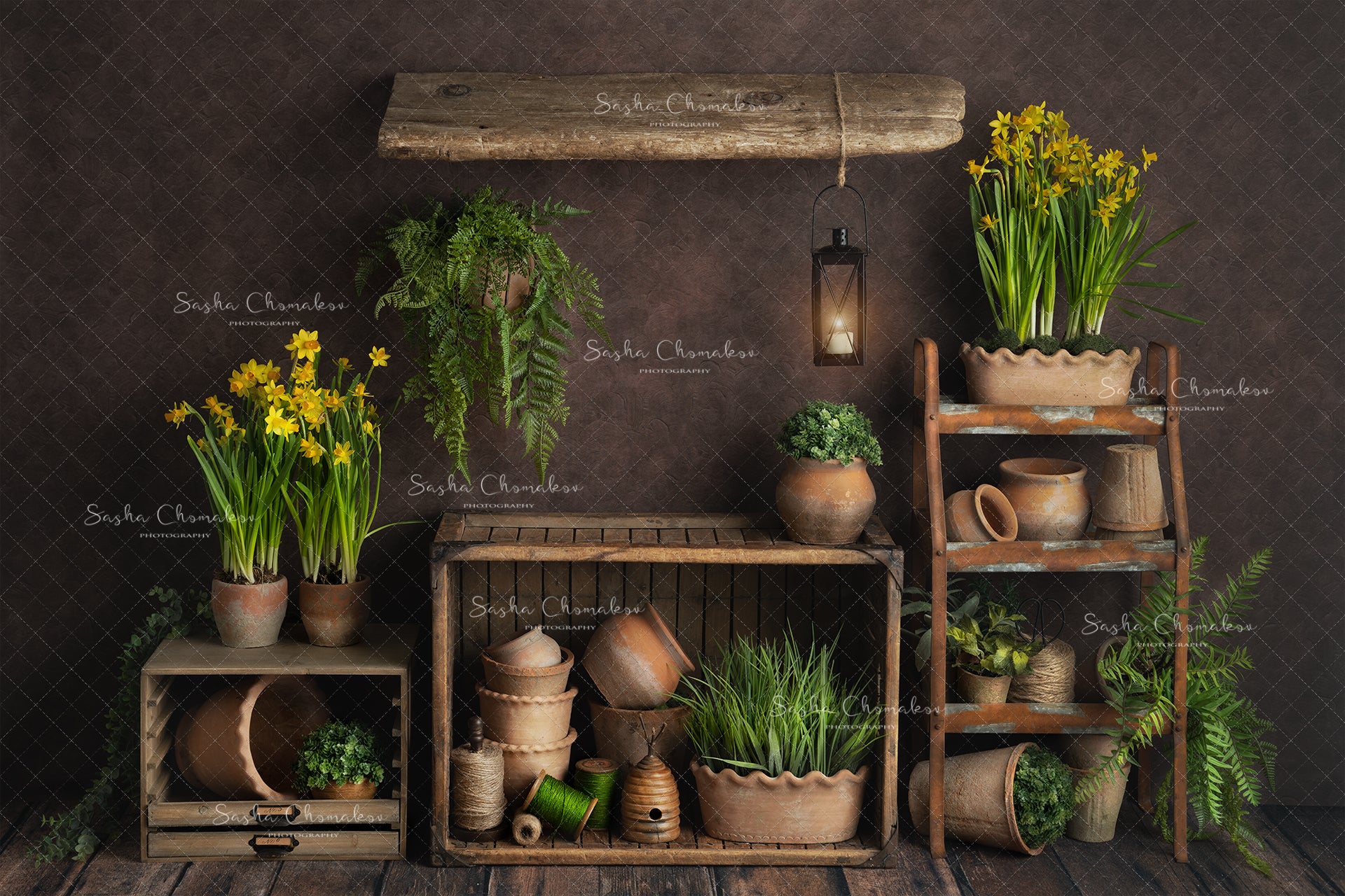 Digital Backdrop