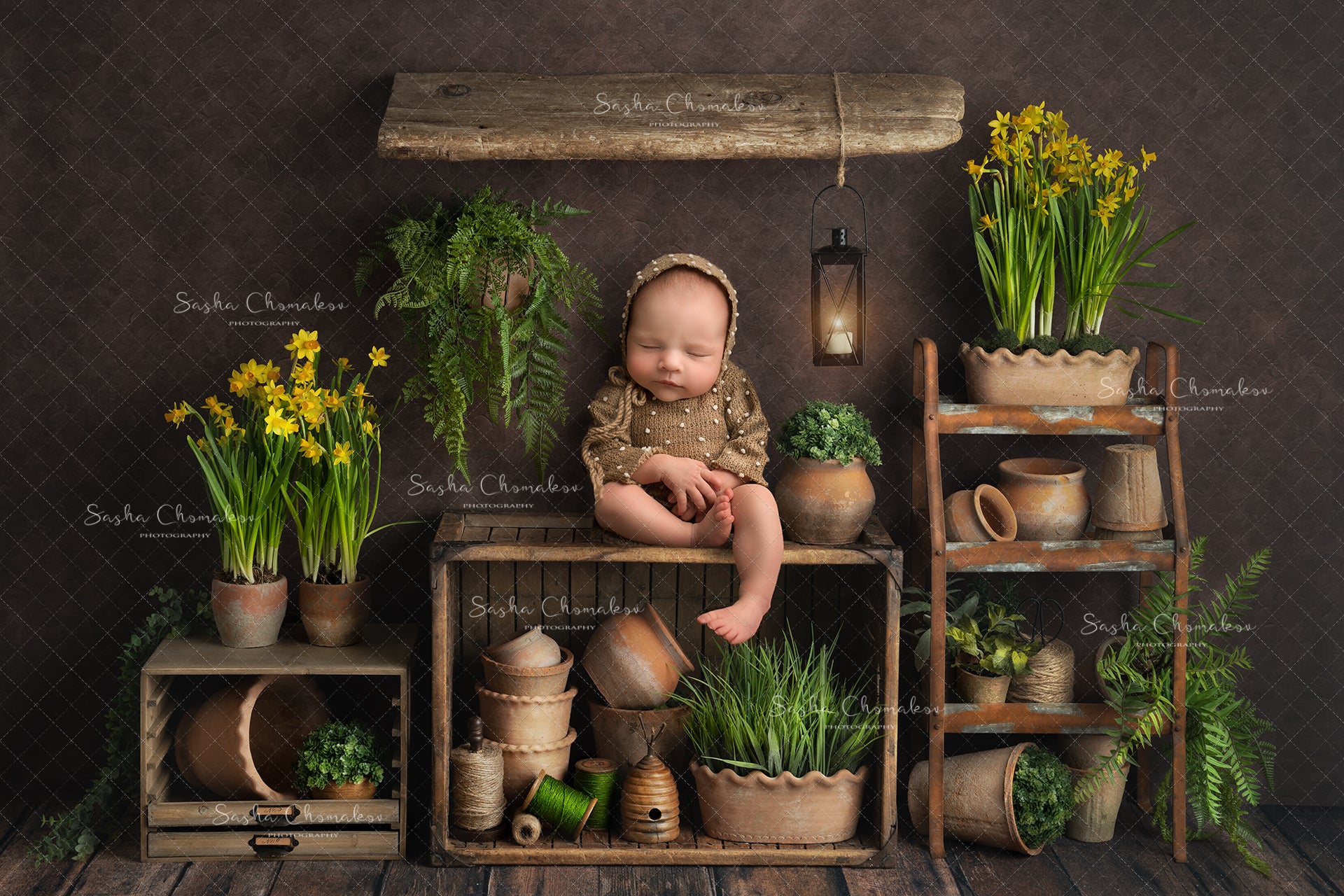 Digital Backdrop