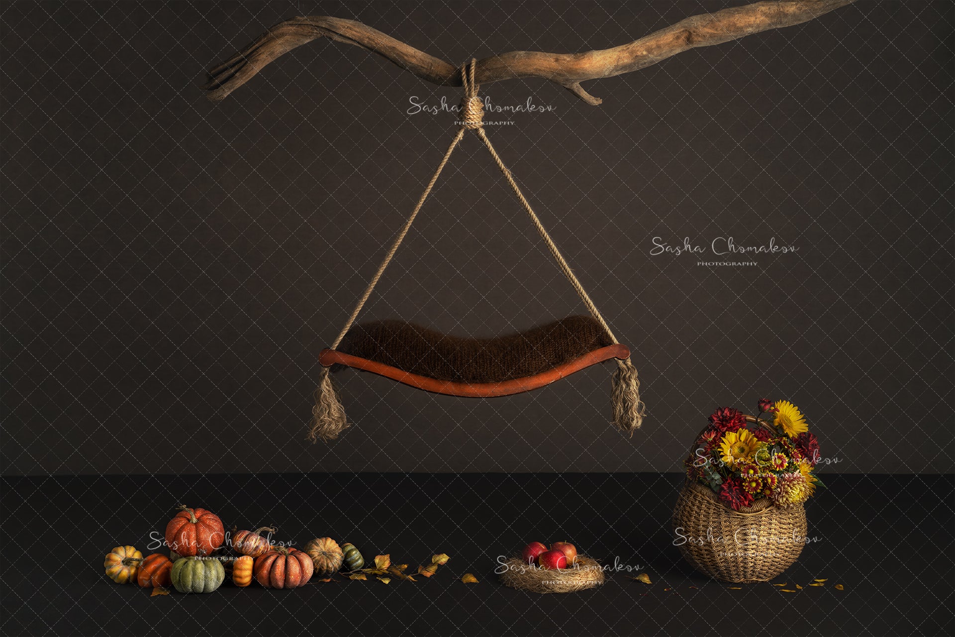 Digital Backdrop