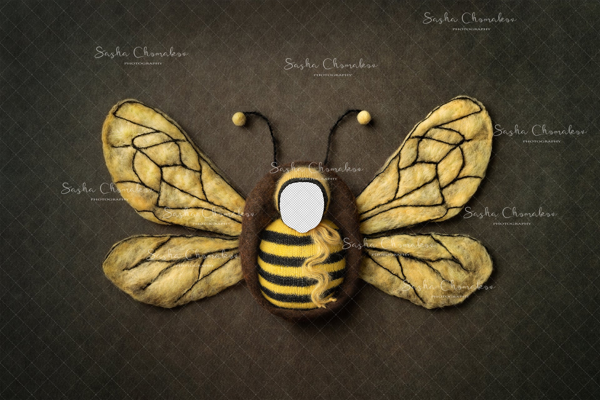 Digital Backdrop