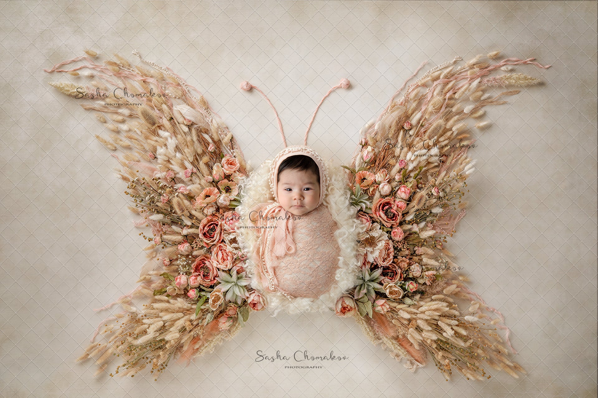 Digital Backdrop