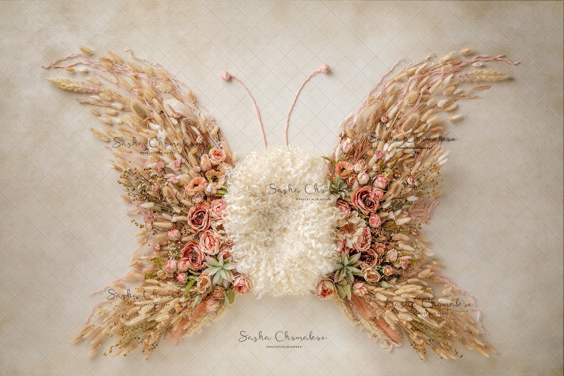 Digital Backdrop