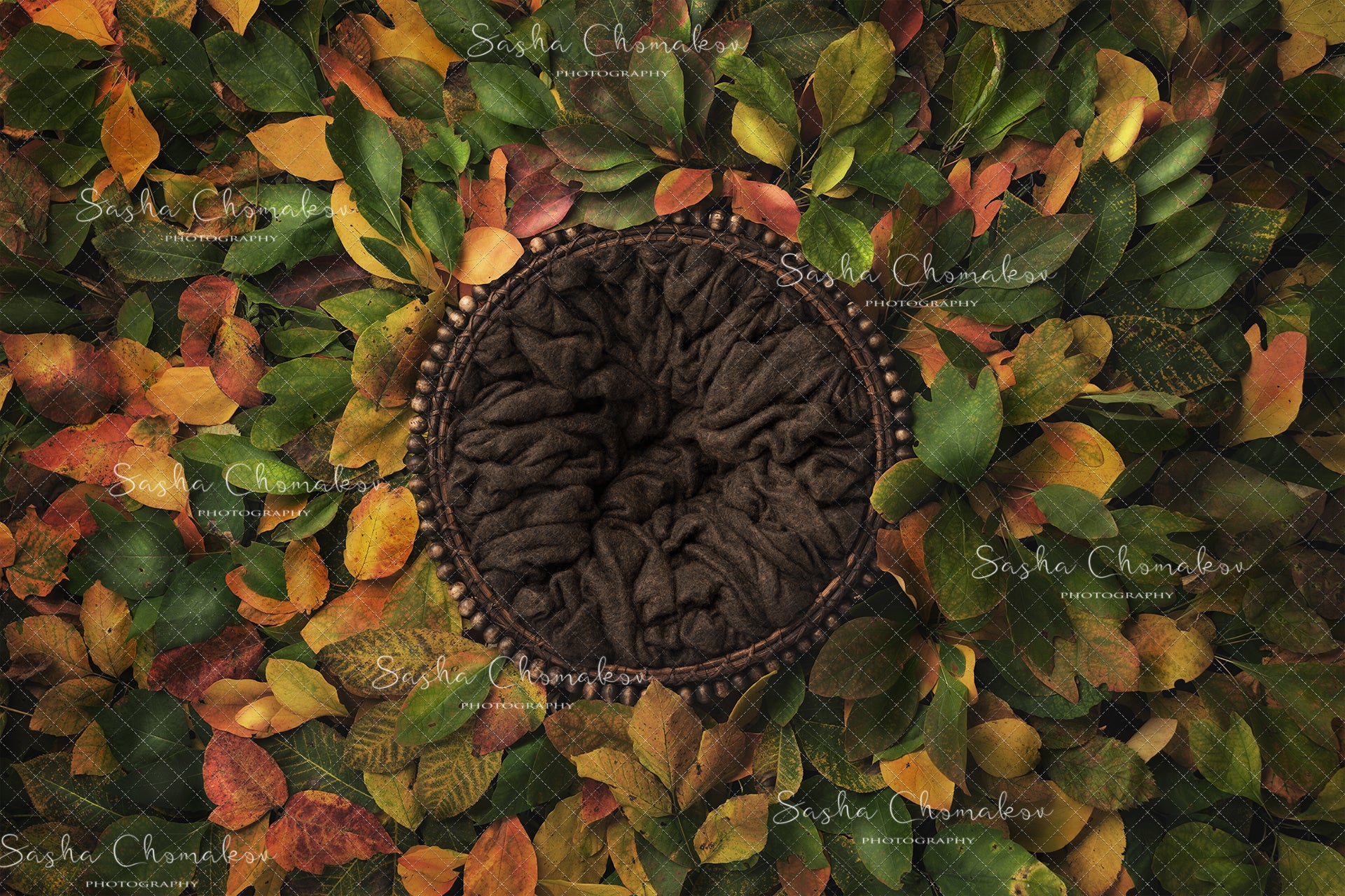 Digital Backdrop