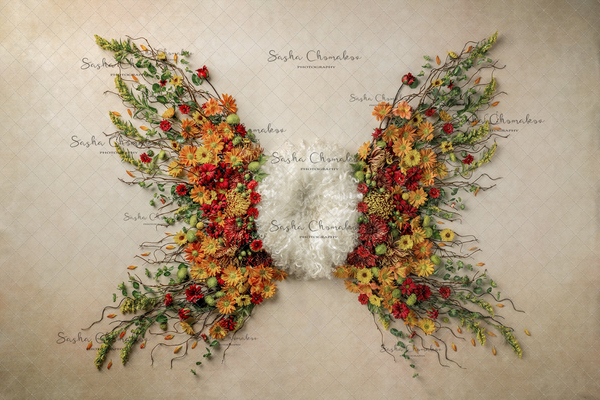Digital Backdrop