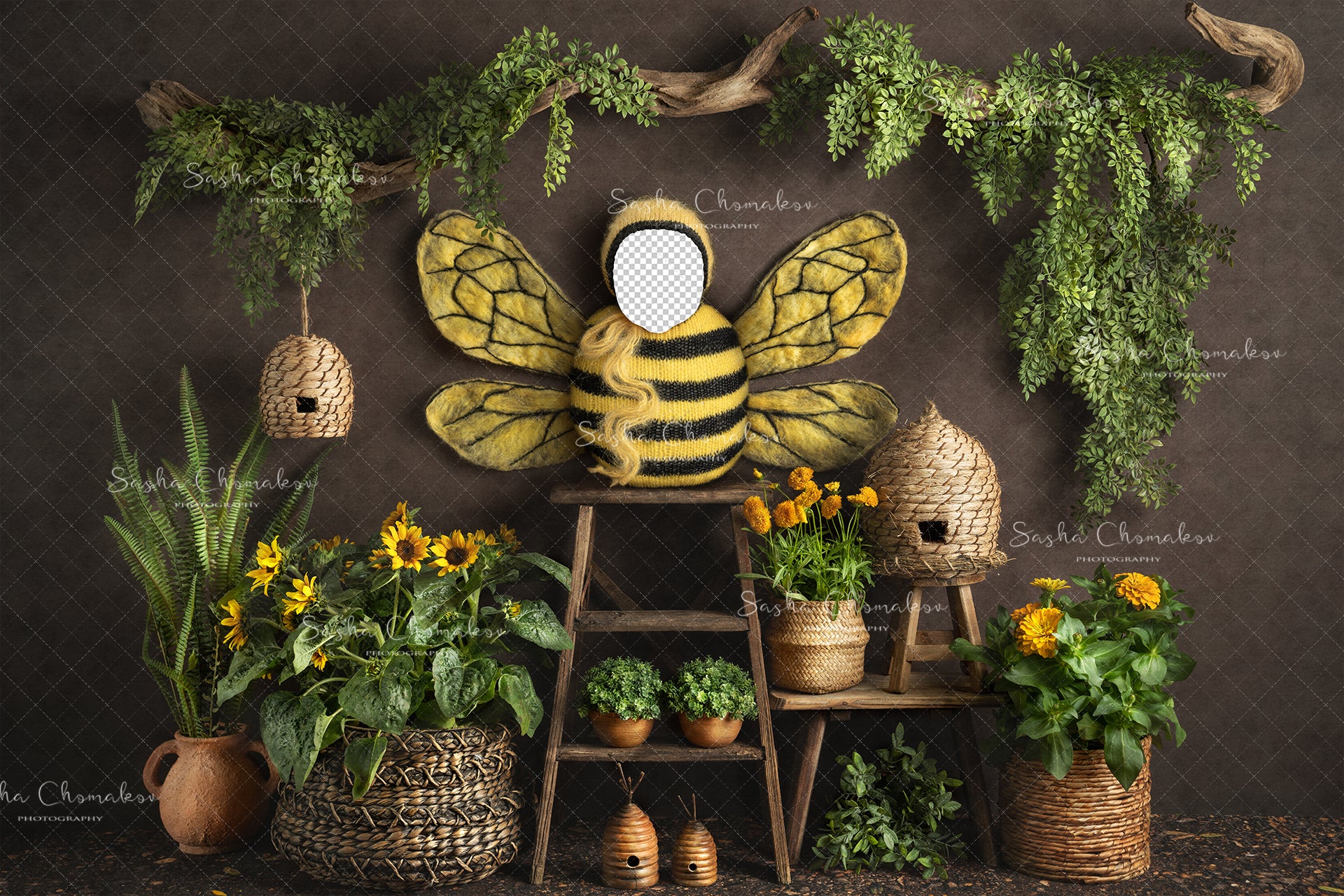 Digital Backdrop