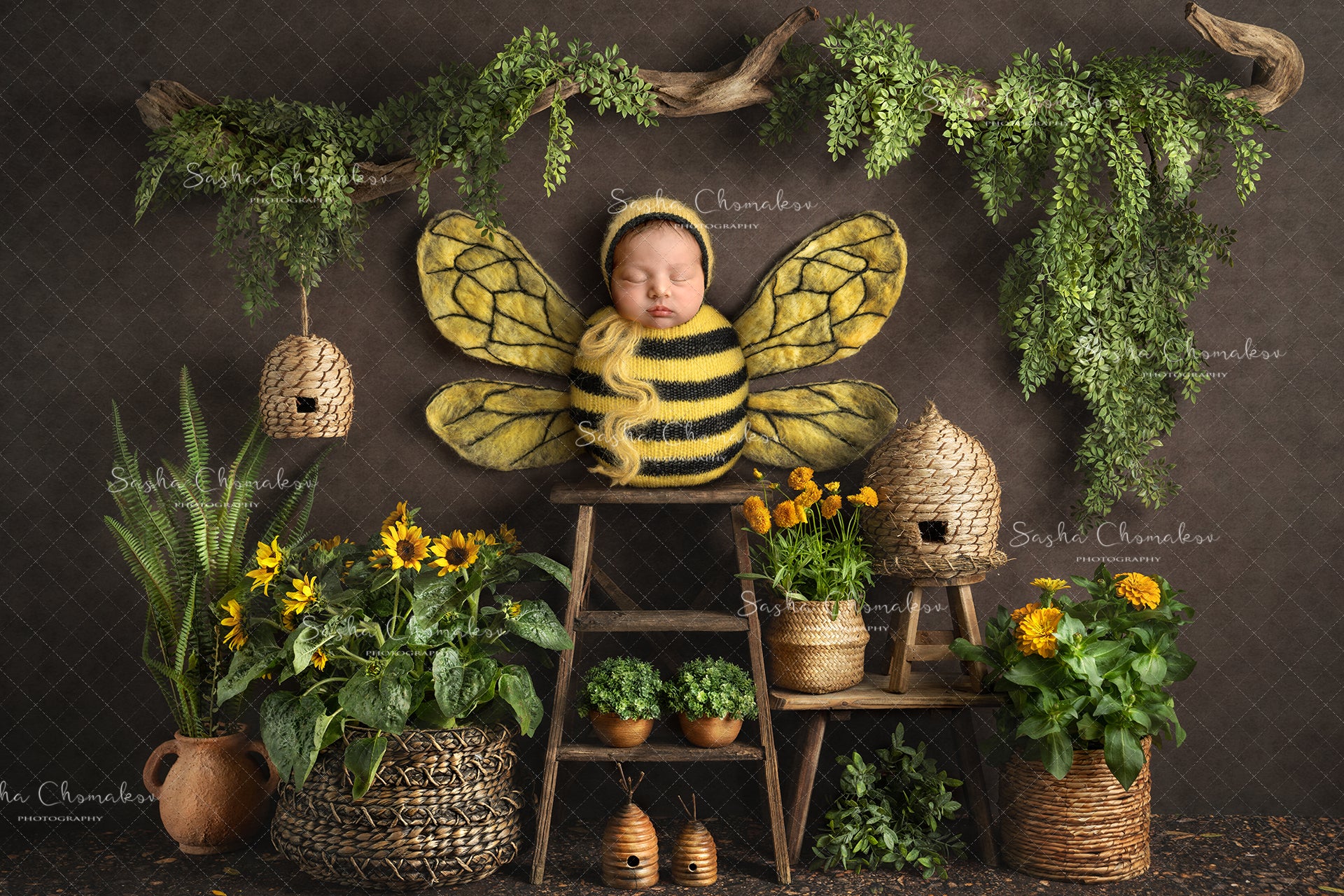 Digital Backdrop
