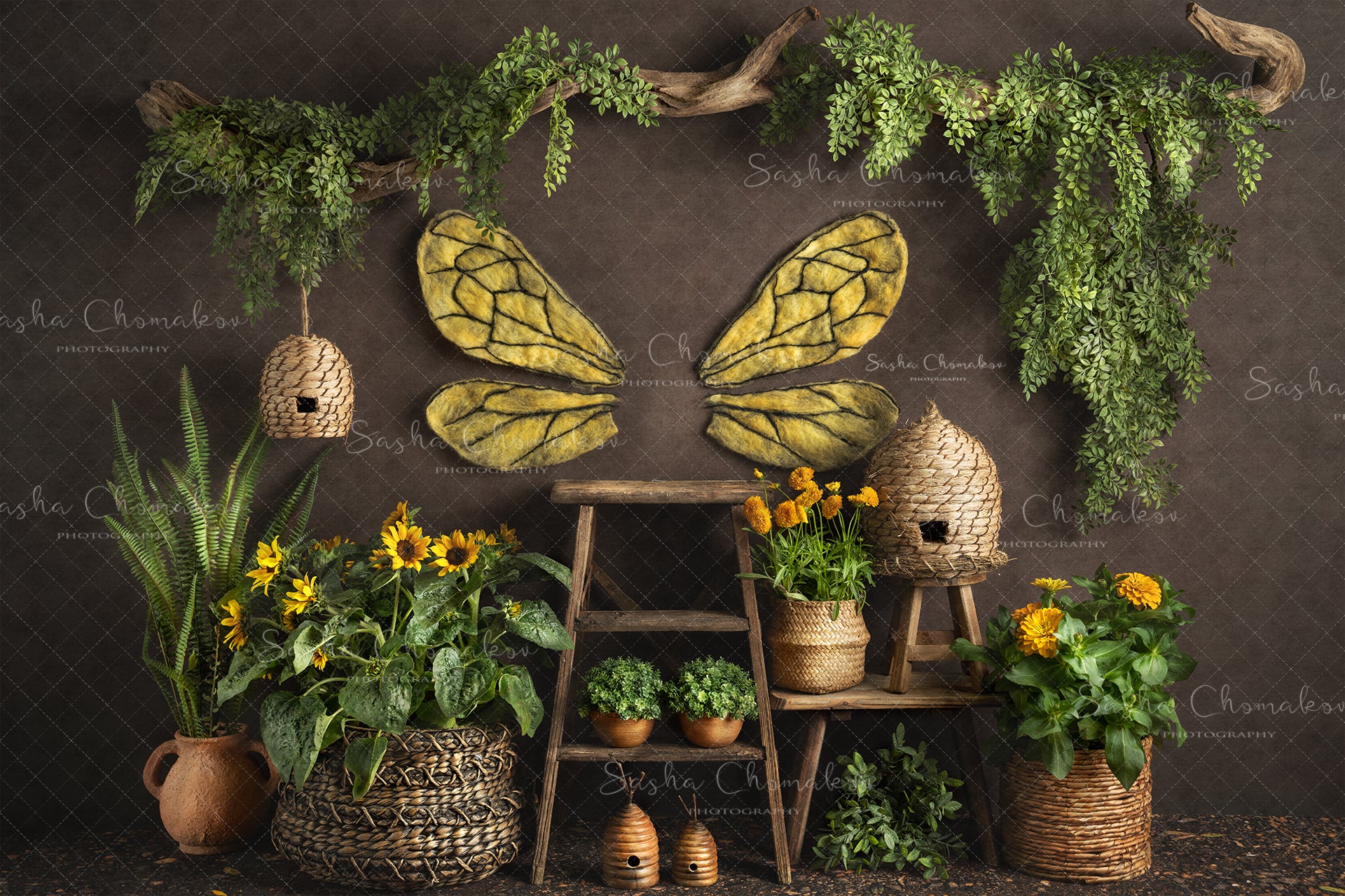 Digital Backdrop