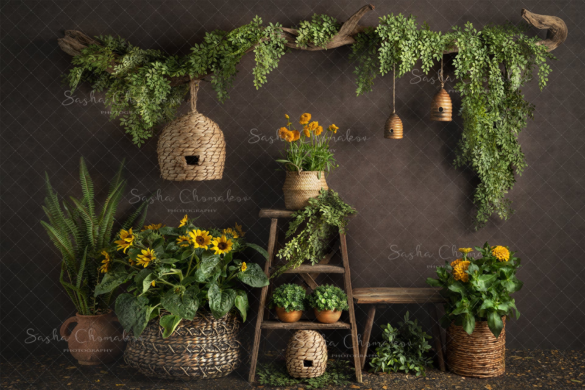 Digital Backdrop