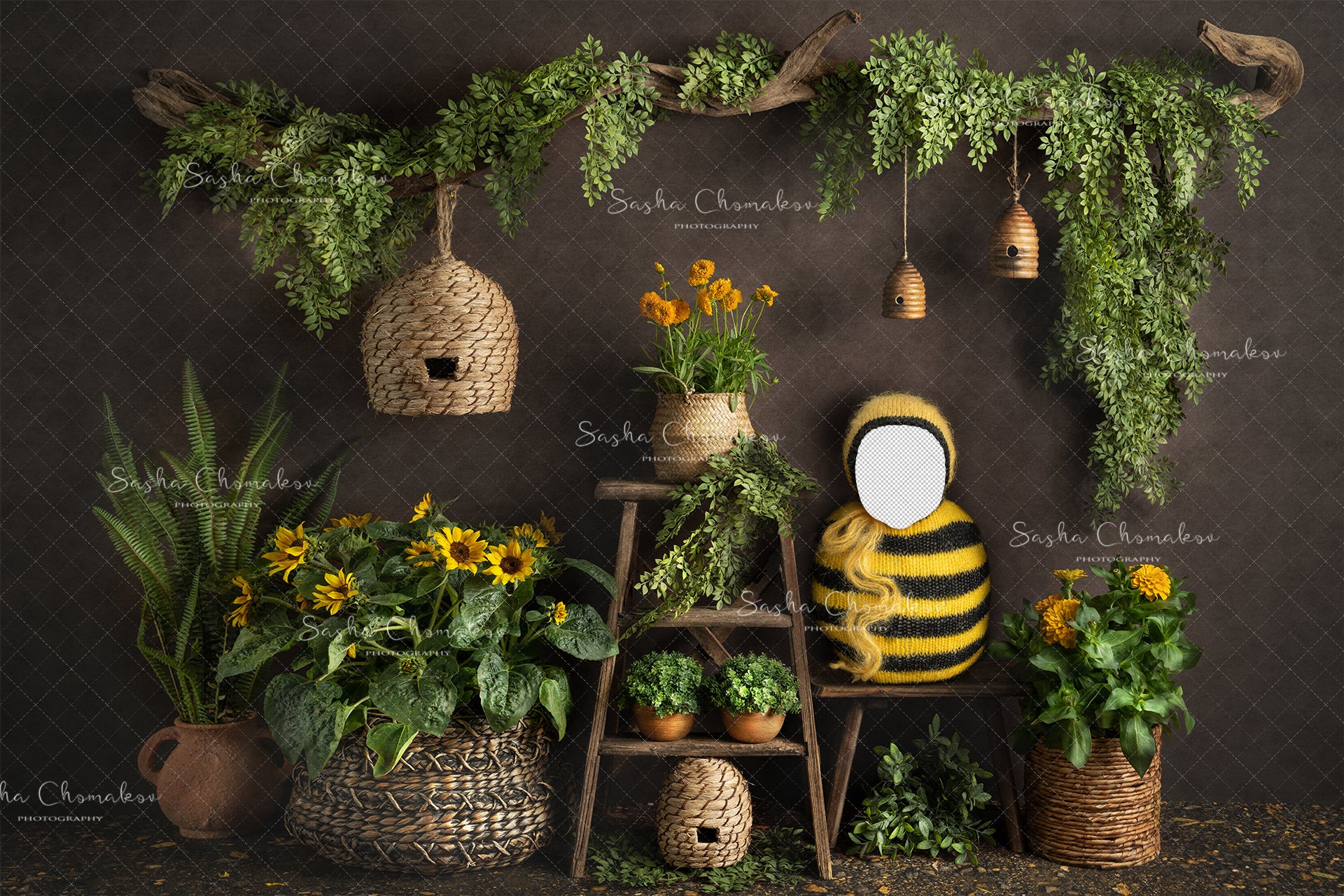 Digital Backdrop