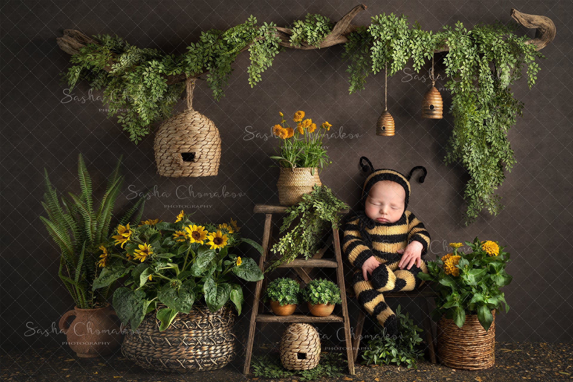 Digital Backdrop