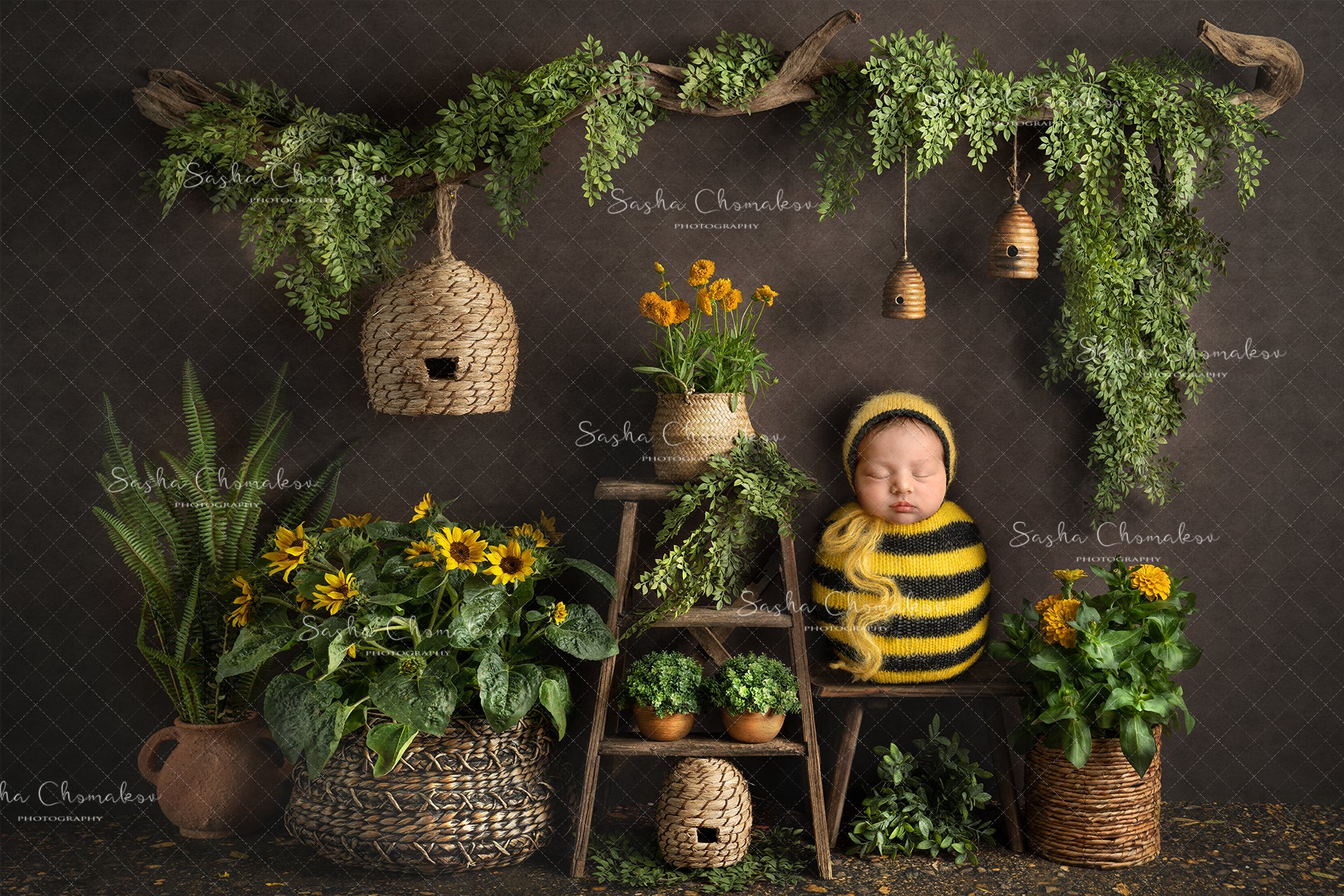 Digital Backdrop