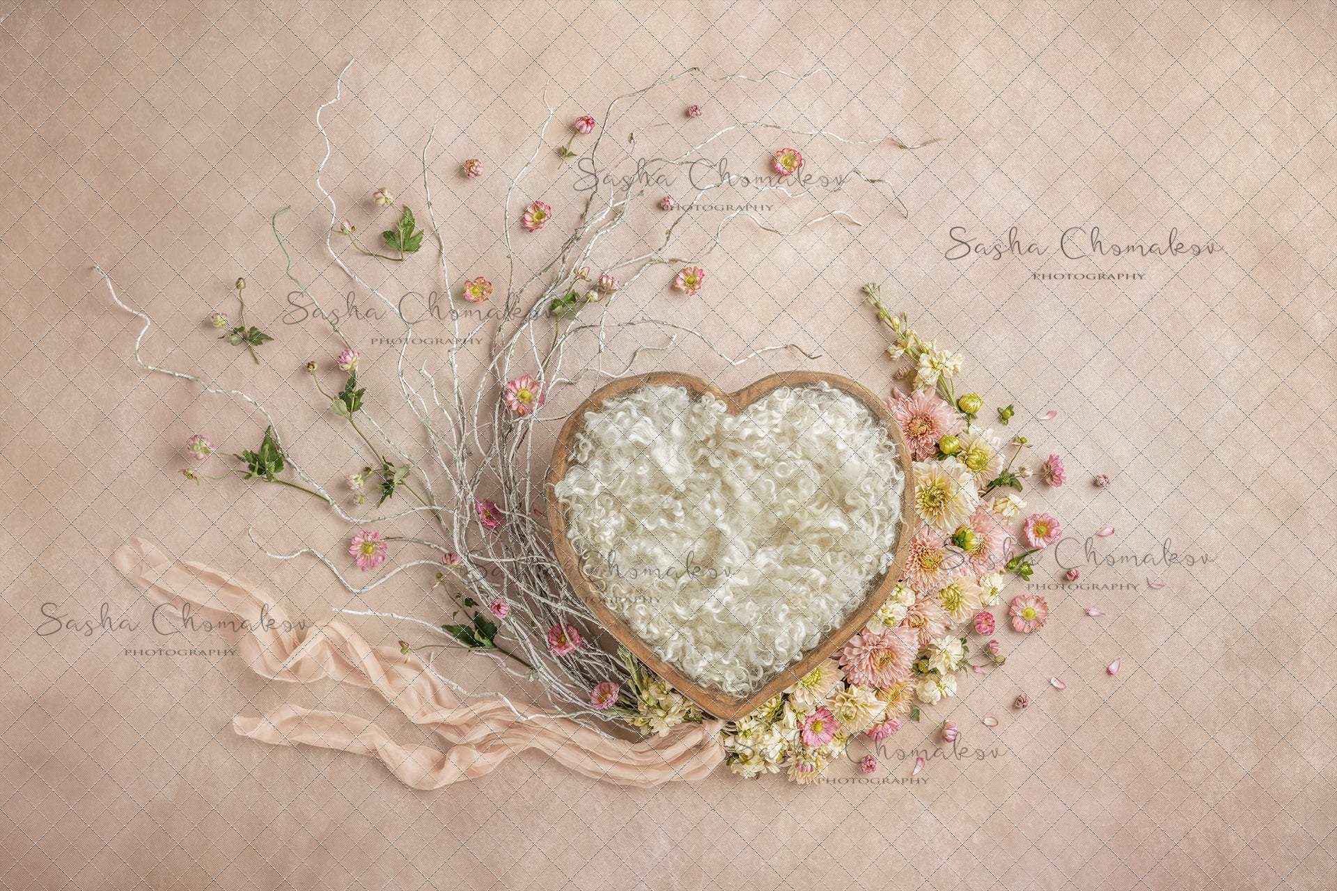 Digital Backdrop