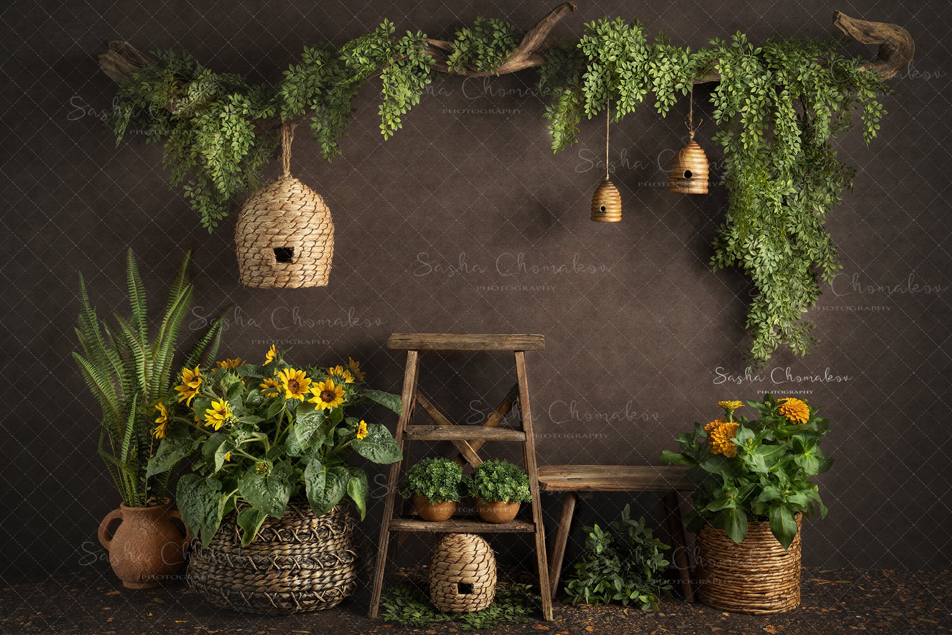 Digital Backdrop