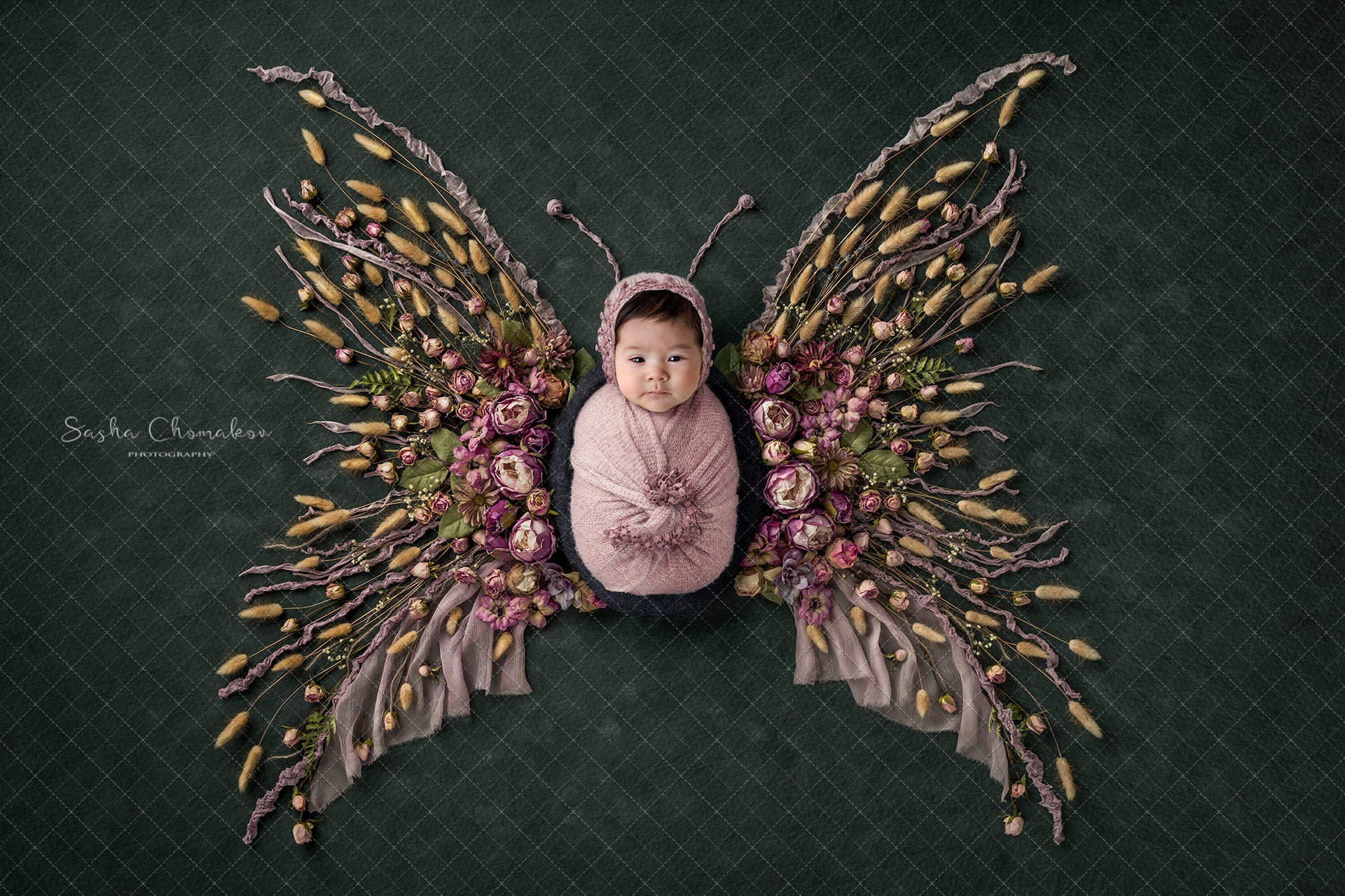 Digital Backdrop