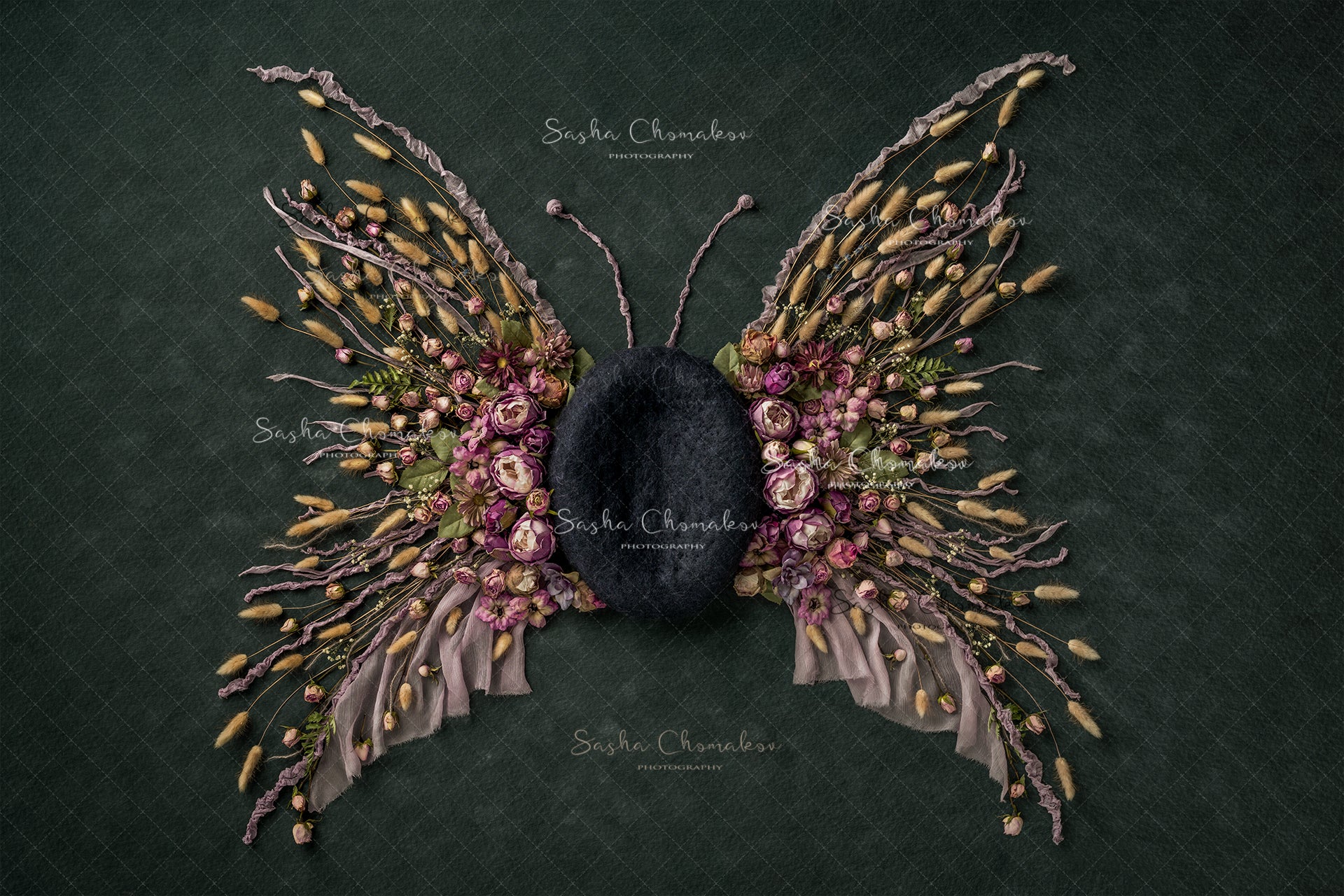 Digital Backdrop