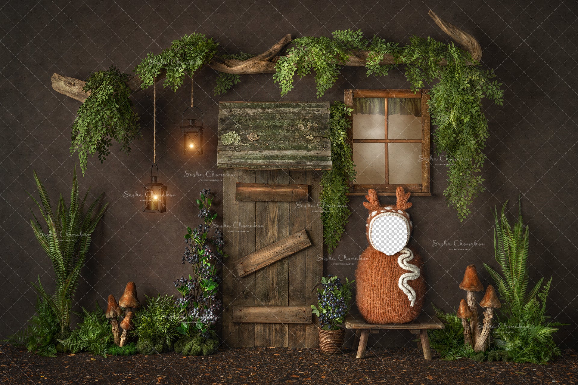 Digital Backdrop