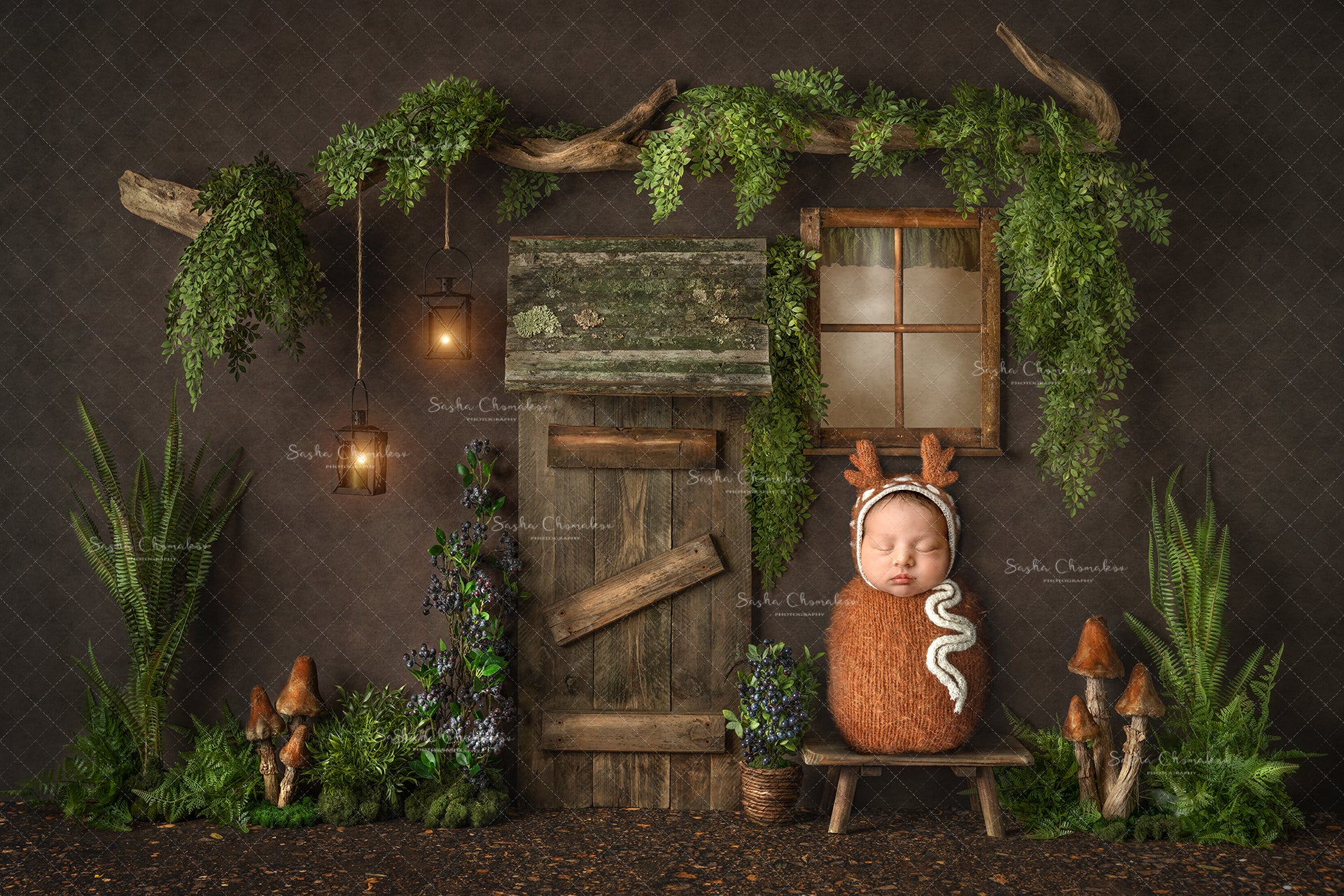 Digital Backdrop
