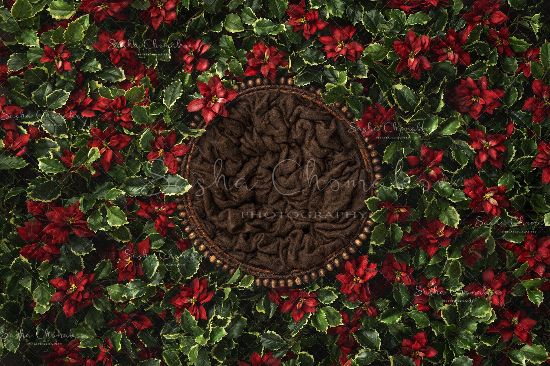 Digital Backdrop