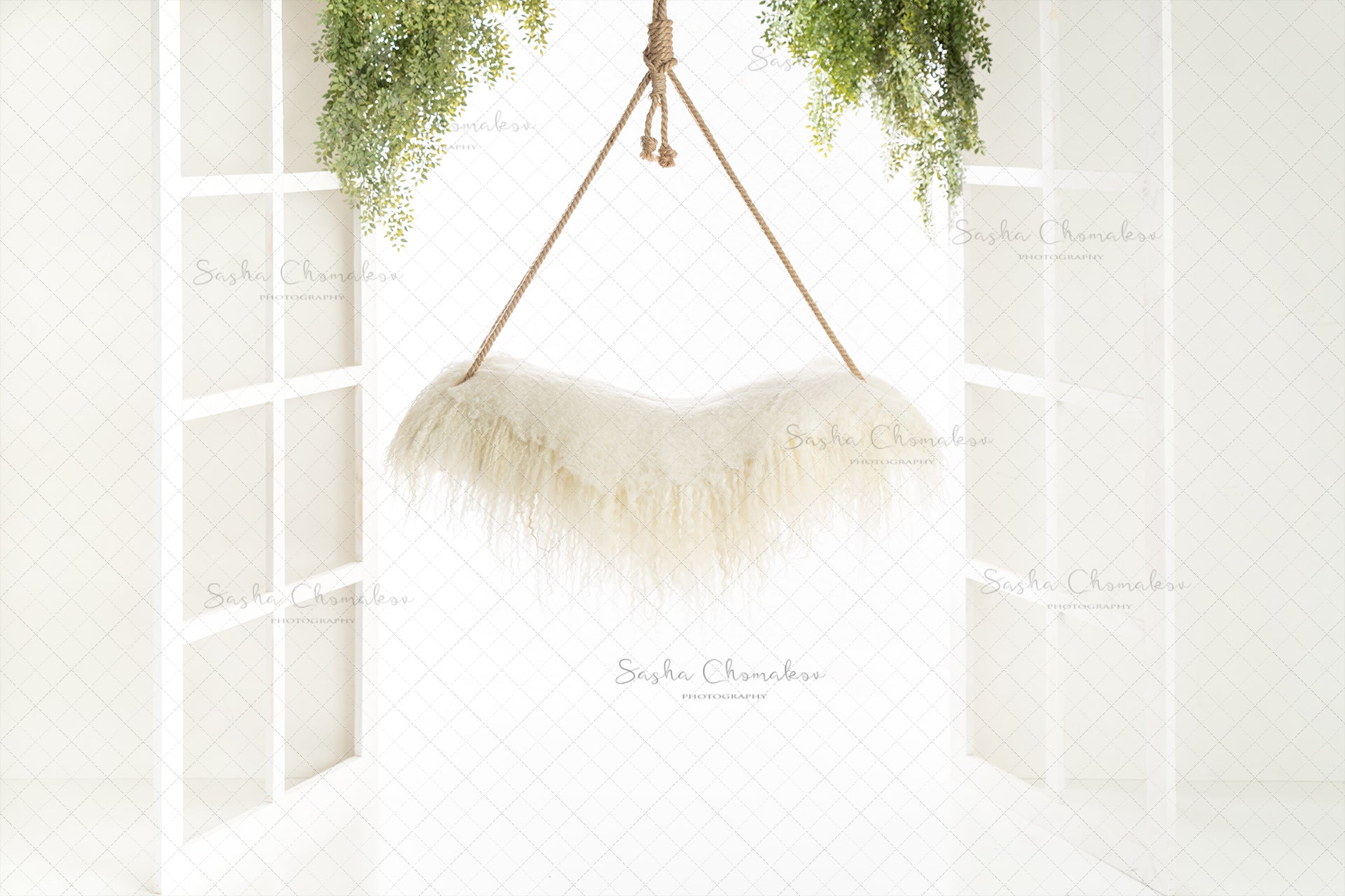 Digital Backdrop
