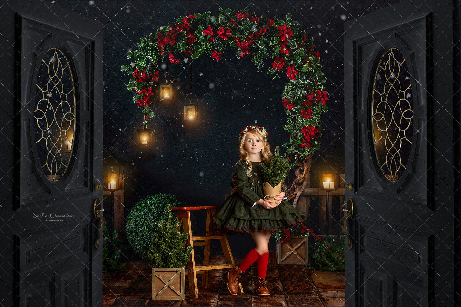 Digital doors overlays