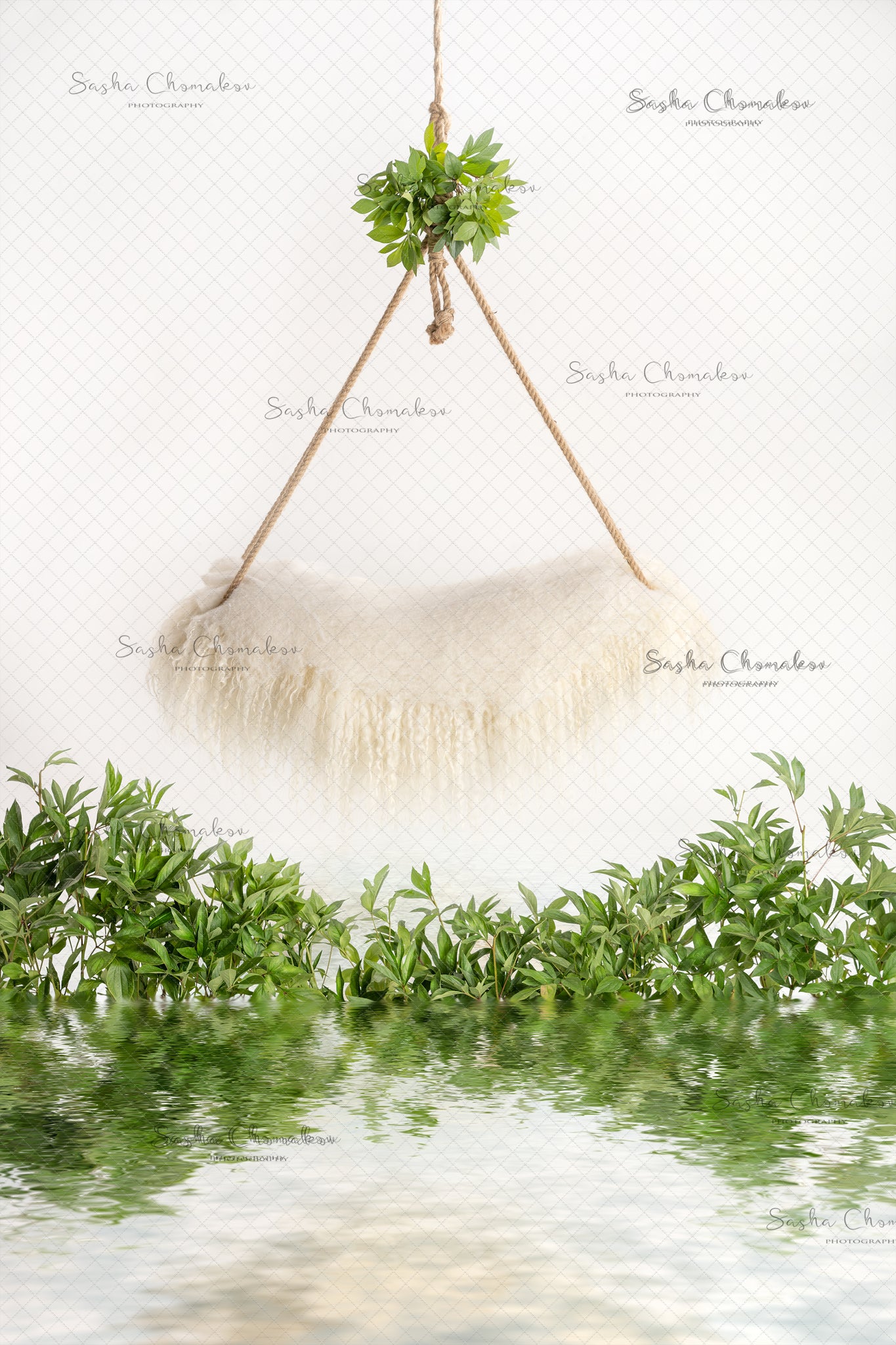Digital Backdrop