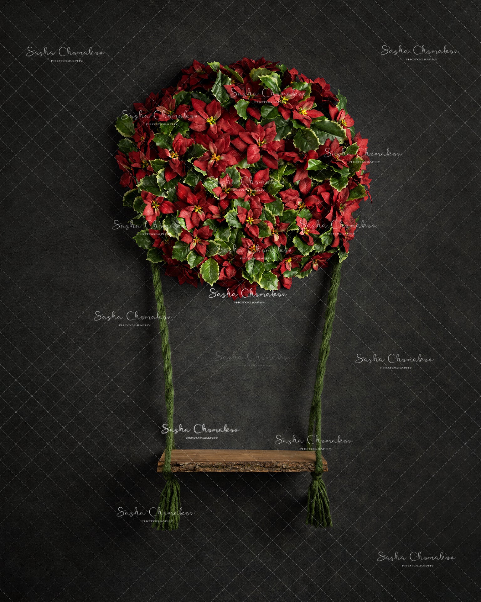 Digital Backdrop