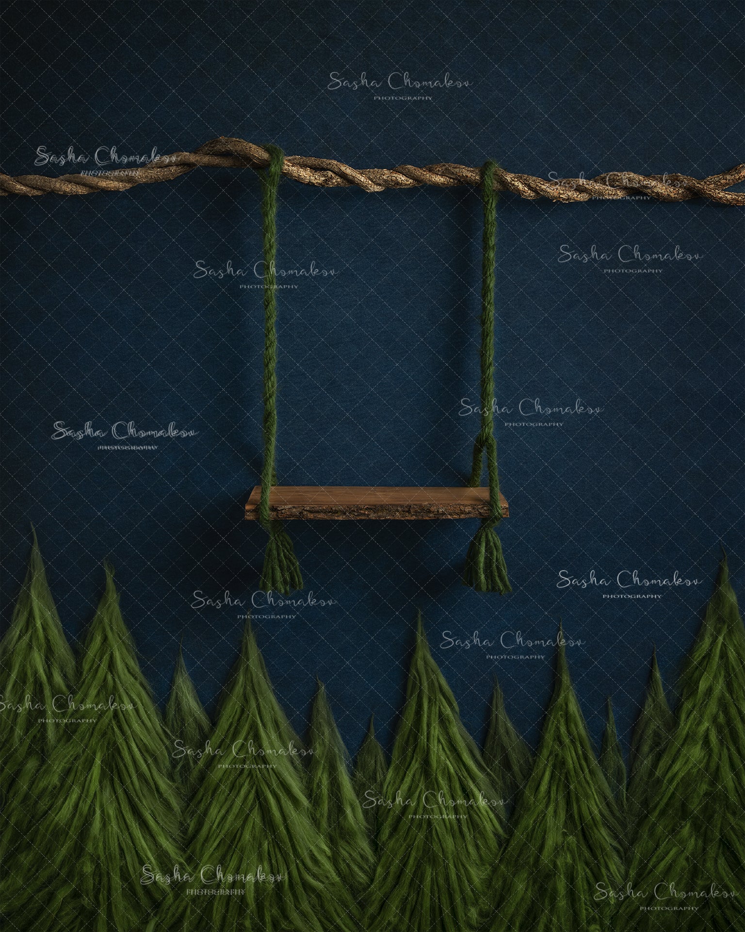 Digital Backdrop