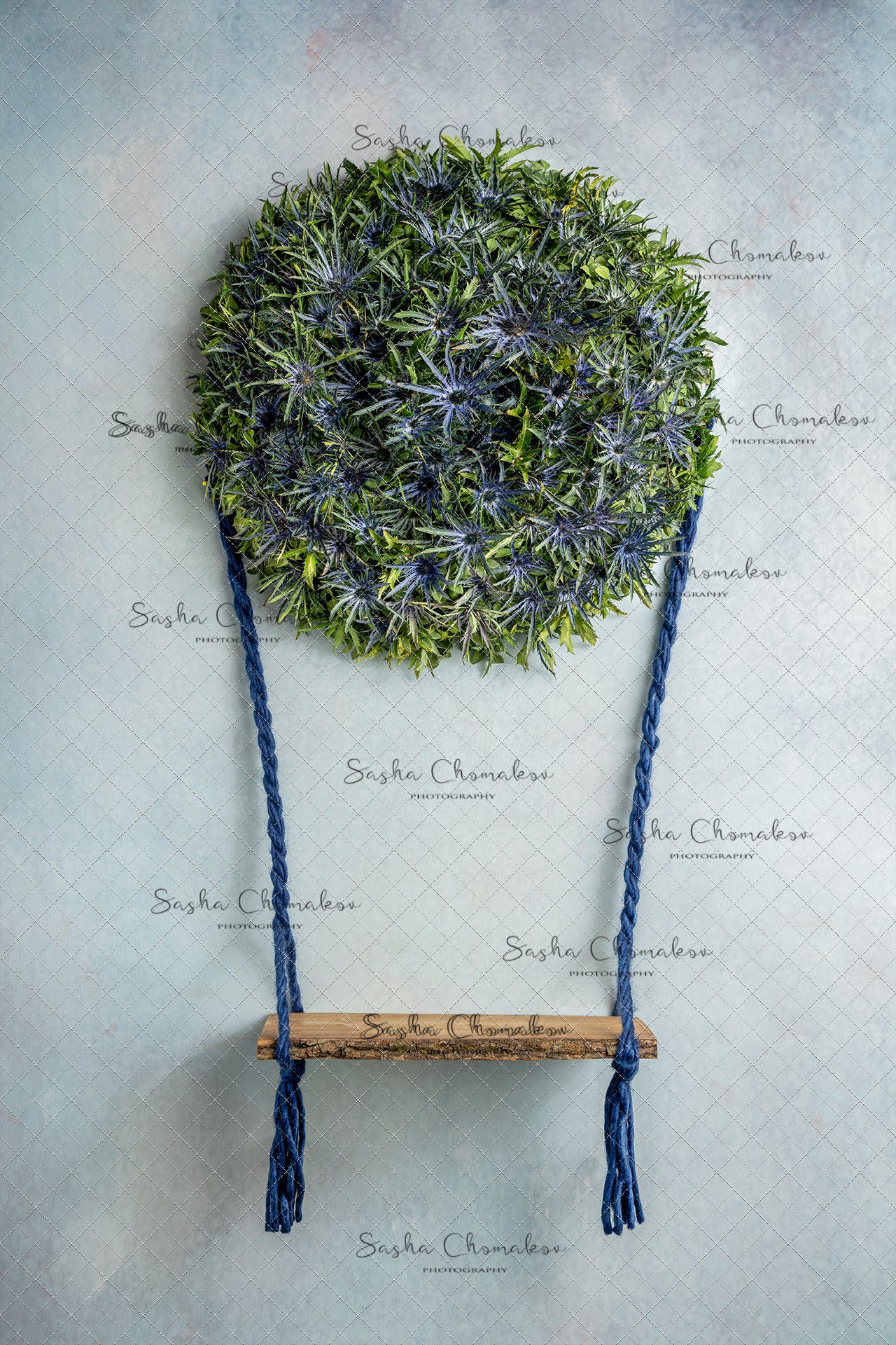 Digital Backdrop
